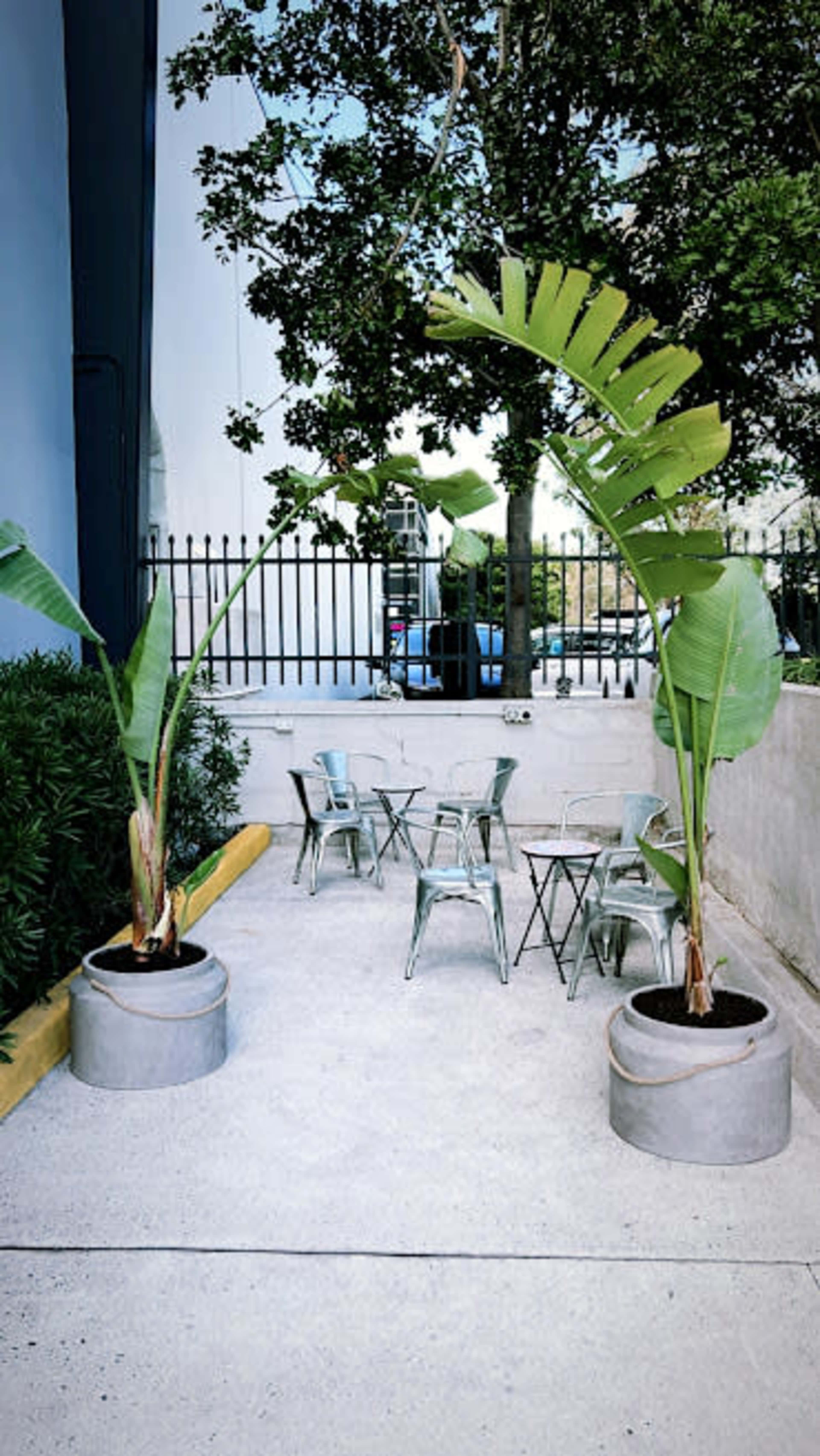 A small outdoor seating area with two large potted plants and several metal chairs and tables against a concrete wall.