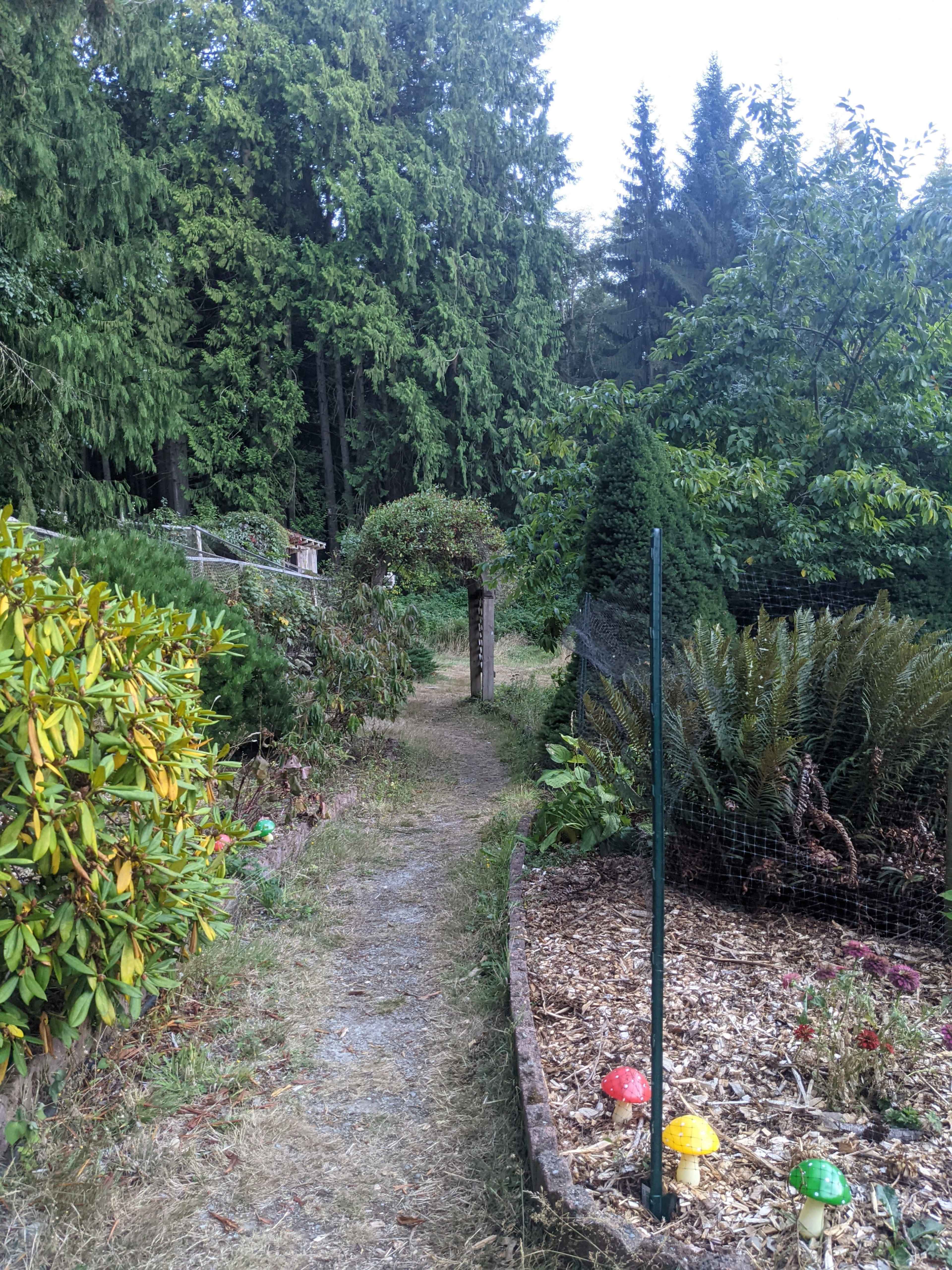 A narrow pathway meanders through a lush garden surrounded by tall trees and colorful mushrooms at the base of a flowerbed.
