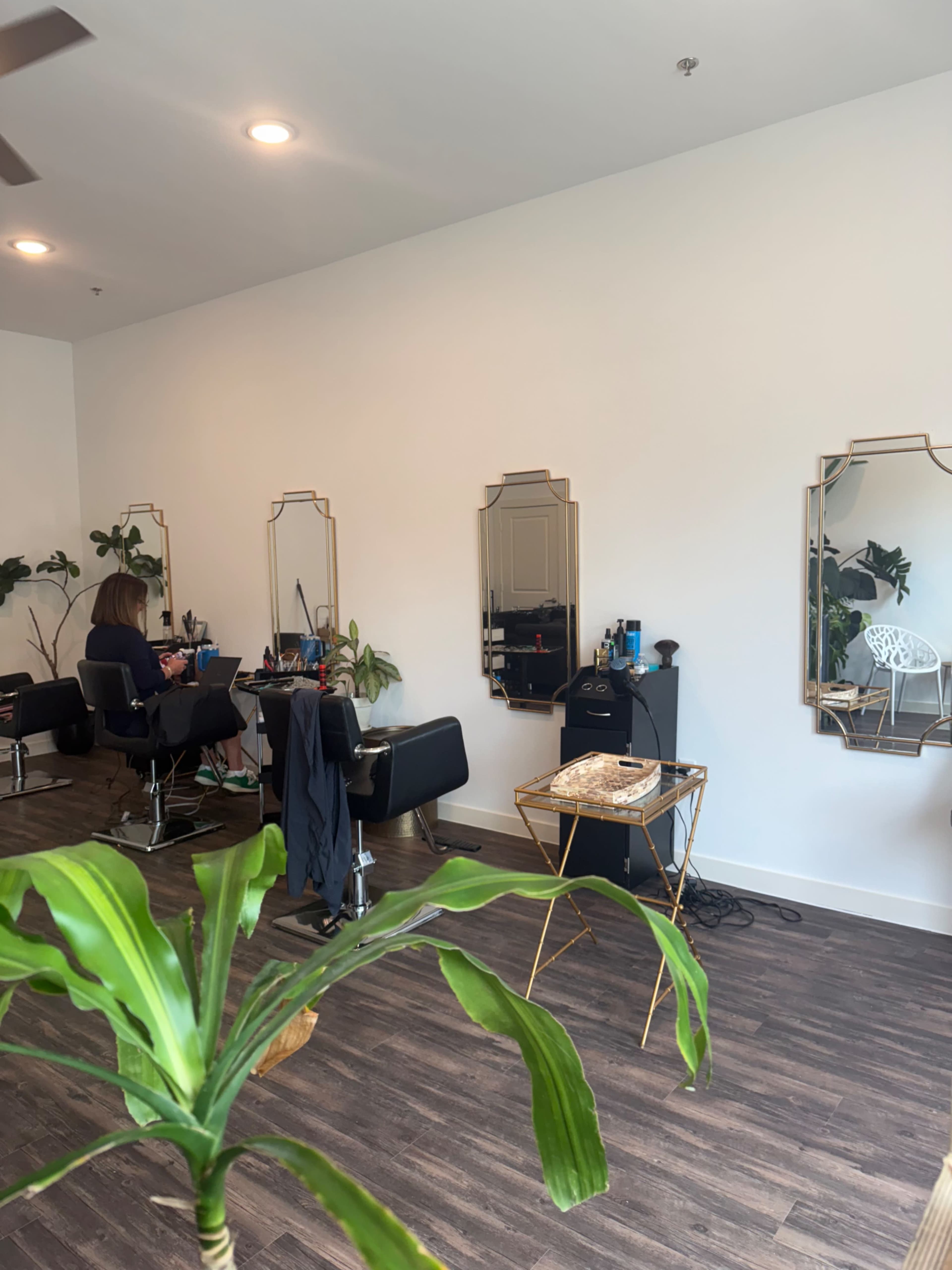 The interior of a hair salon features three mirrors with styling stations and a potted plant in the foreground.