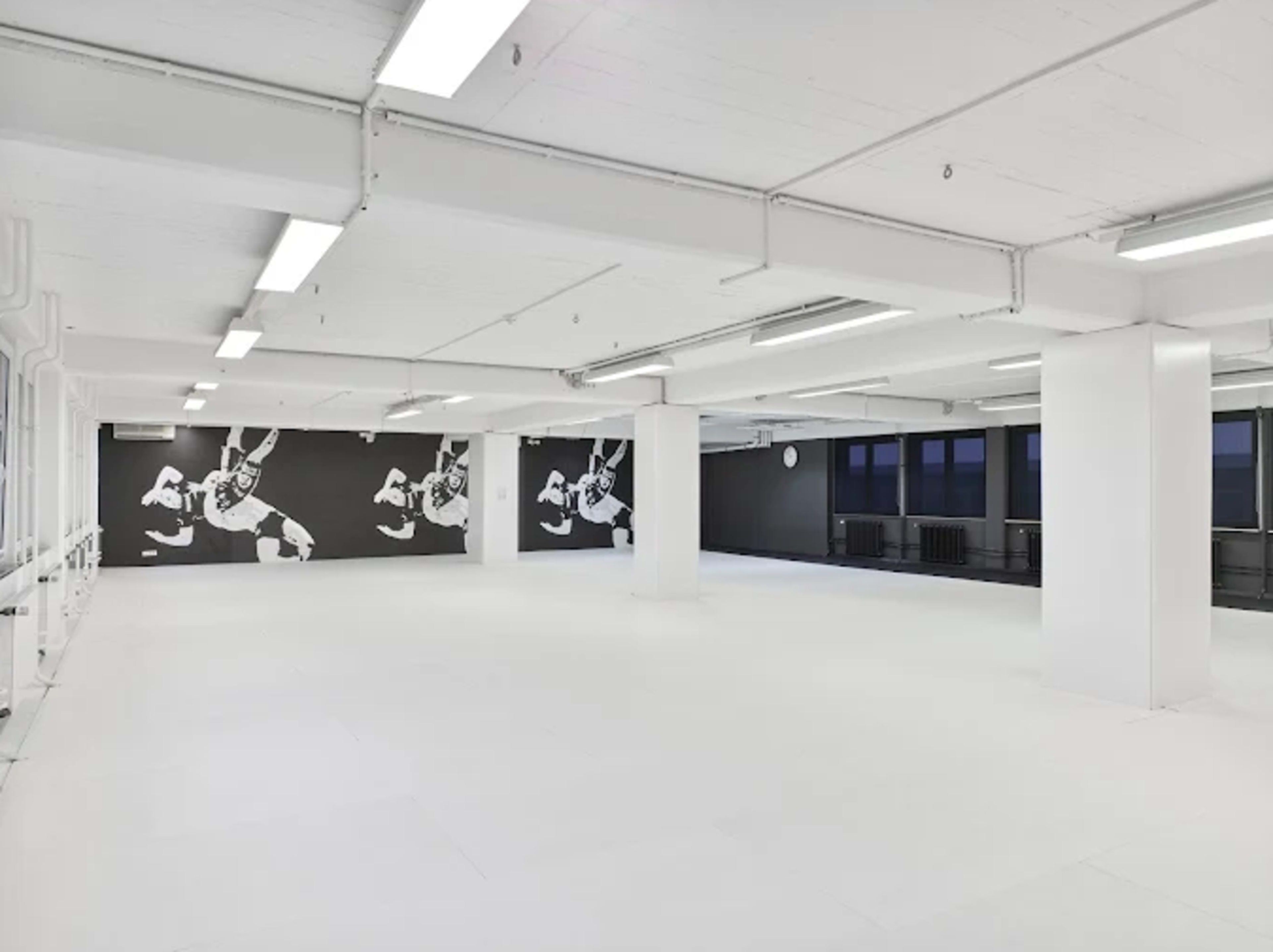 1000m2 GYM in Köln - Kampfsport und vieles mehr Image in Niehl, Köln-Niehl