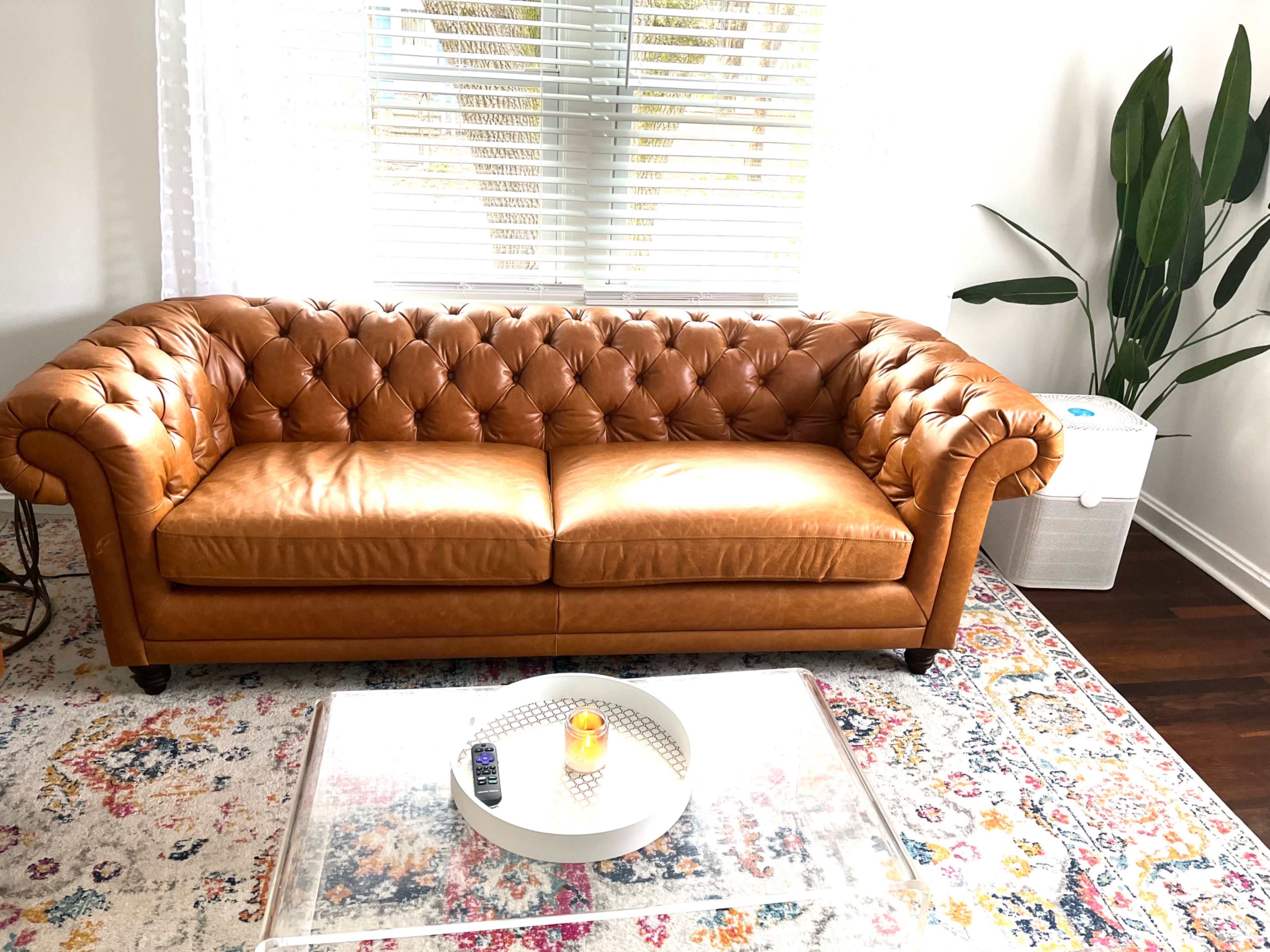 A tufted leather sofa sits in a well-lit room with a glass coffee table, a decorative candle, and a potted plant nearby.