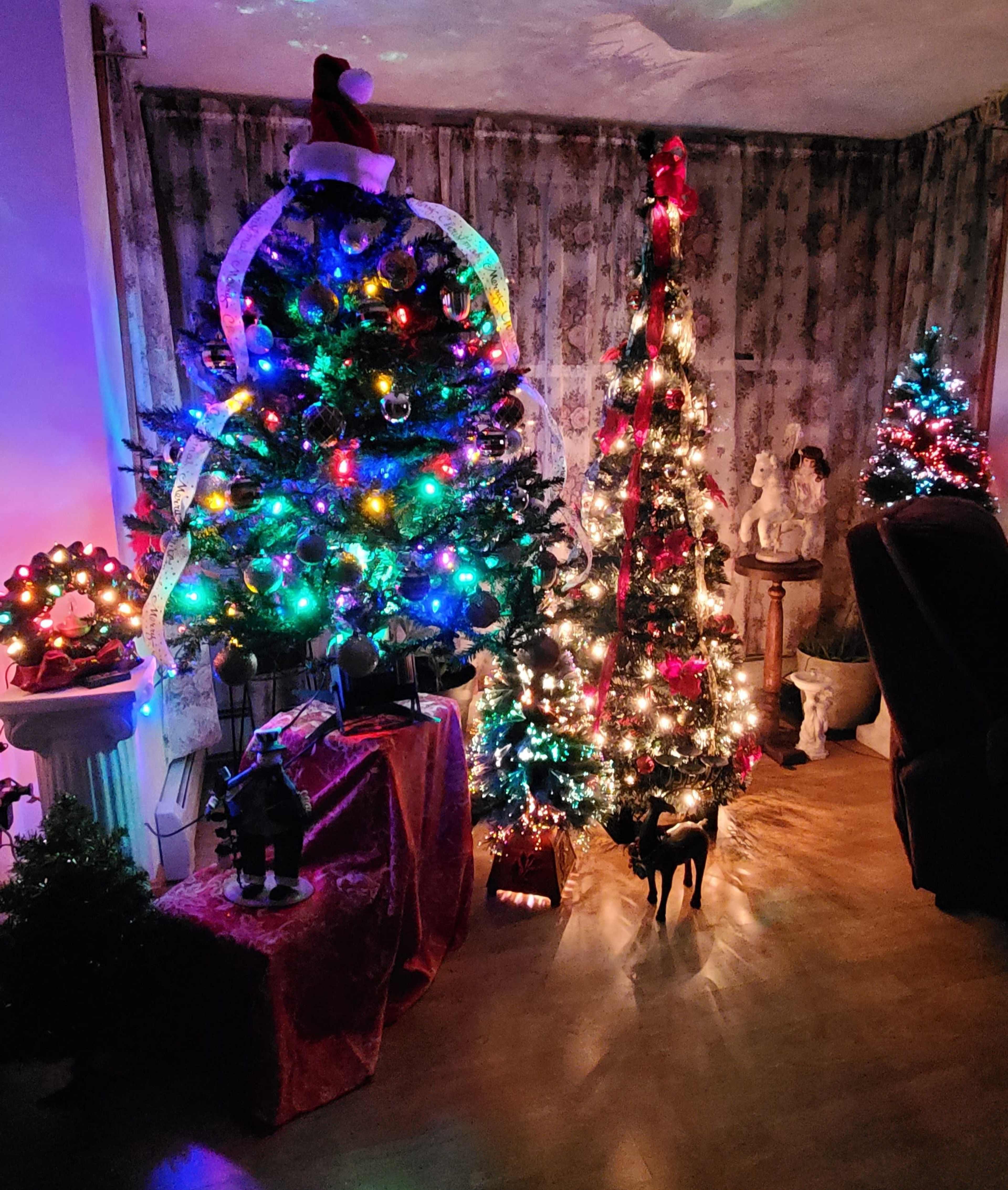 A cozy room decorated with multiple Christmas trees adorned with colorful lights and ornaments.