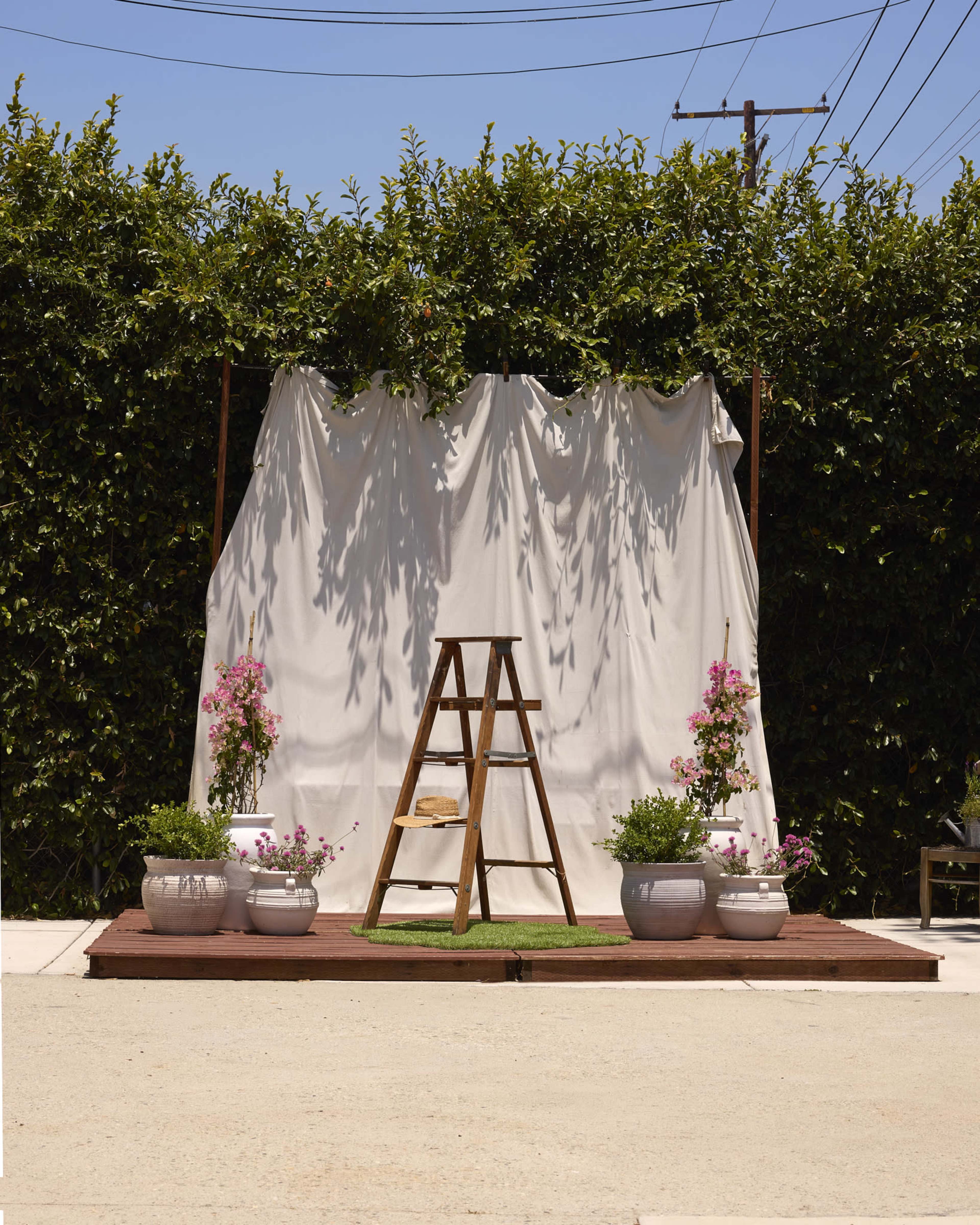 The scene shows a wooden ladder set in front of a white draped backdrop, flanked by potted plants, on a wooden platform surrounded by a gravel surface.