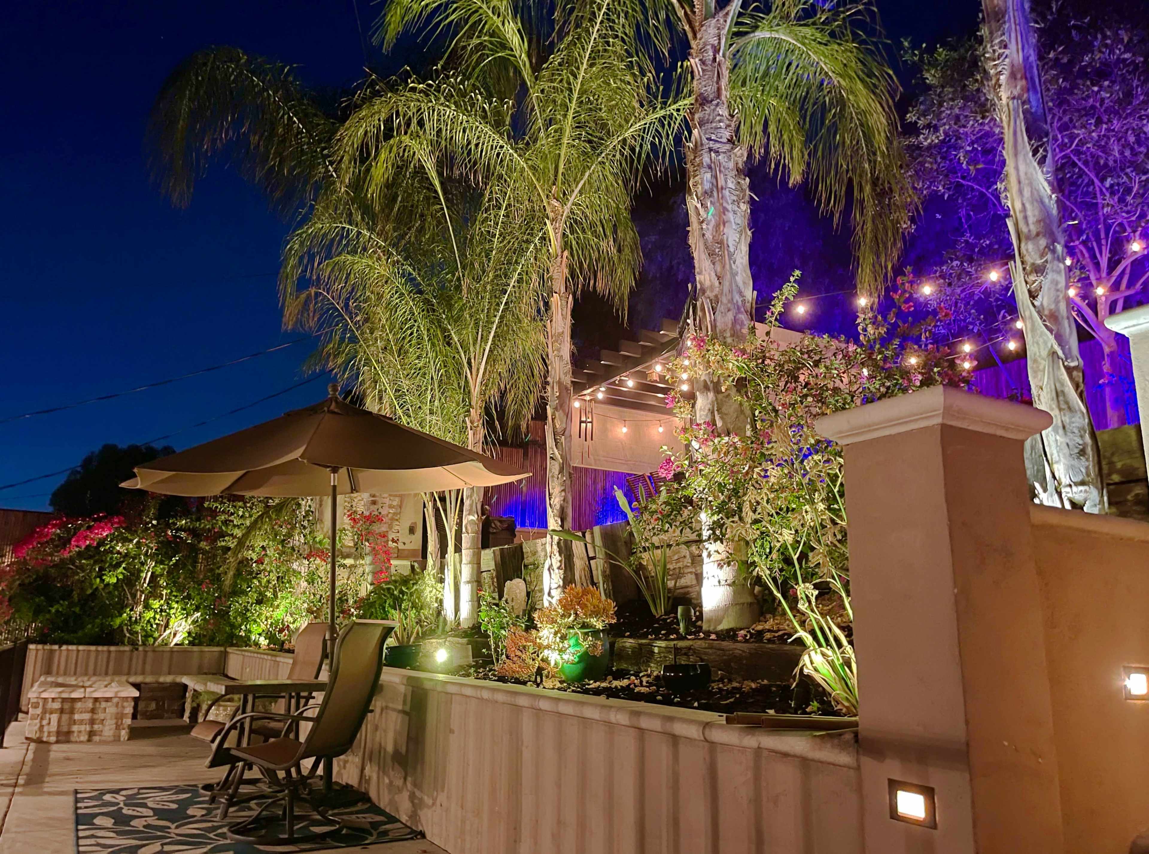 A landscaped backyard with palm trees, string lights, and a seating area illuminated by colorful lights at night.
