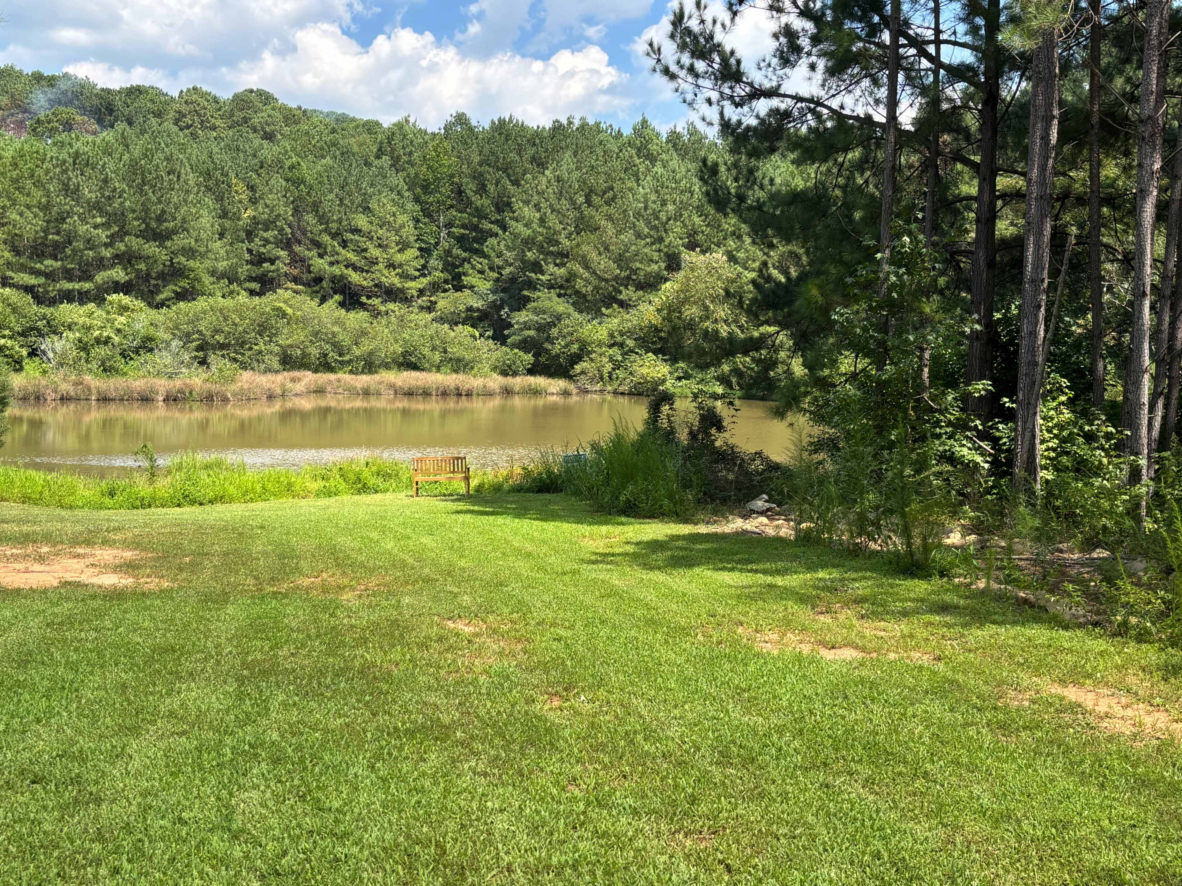 The image shows a grassy area leading to a calm pond, surrounded by trees and shrubs.