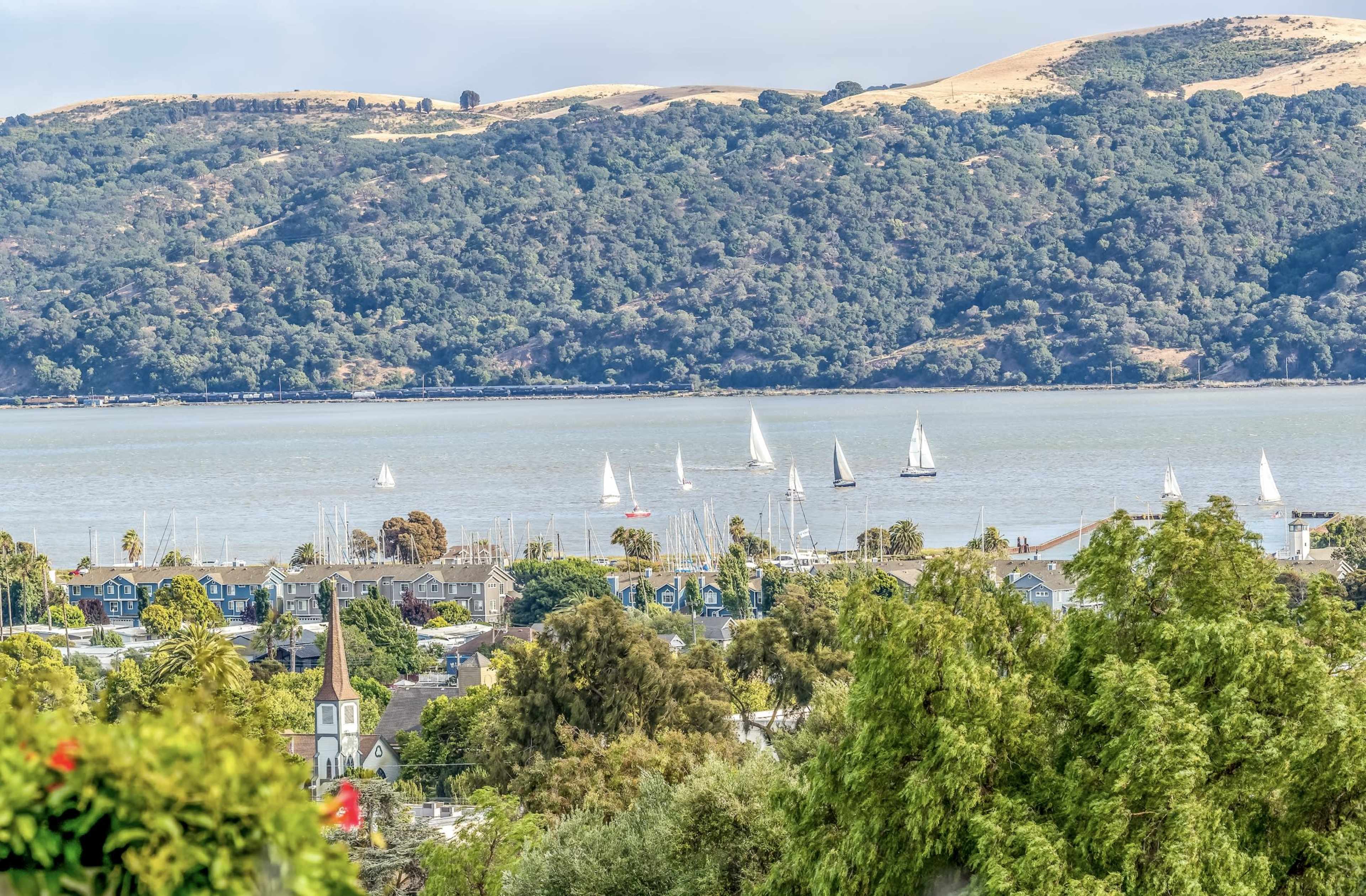 The image shows a view of a bay with several sailboats on the water, framed by trees and hills in the background.