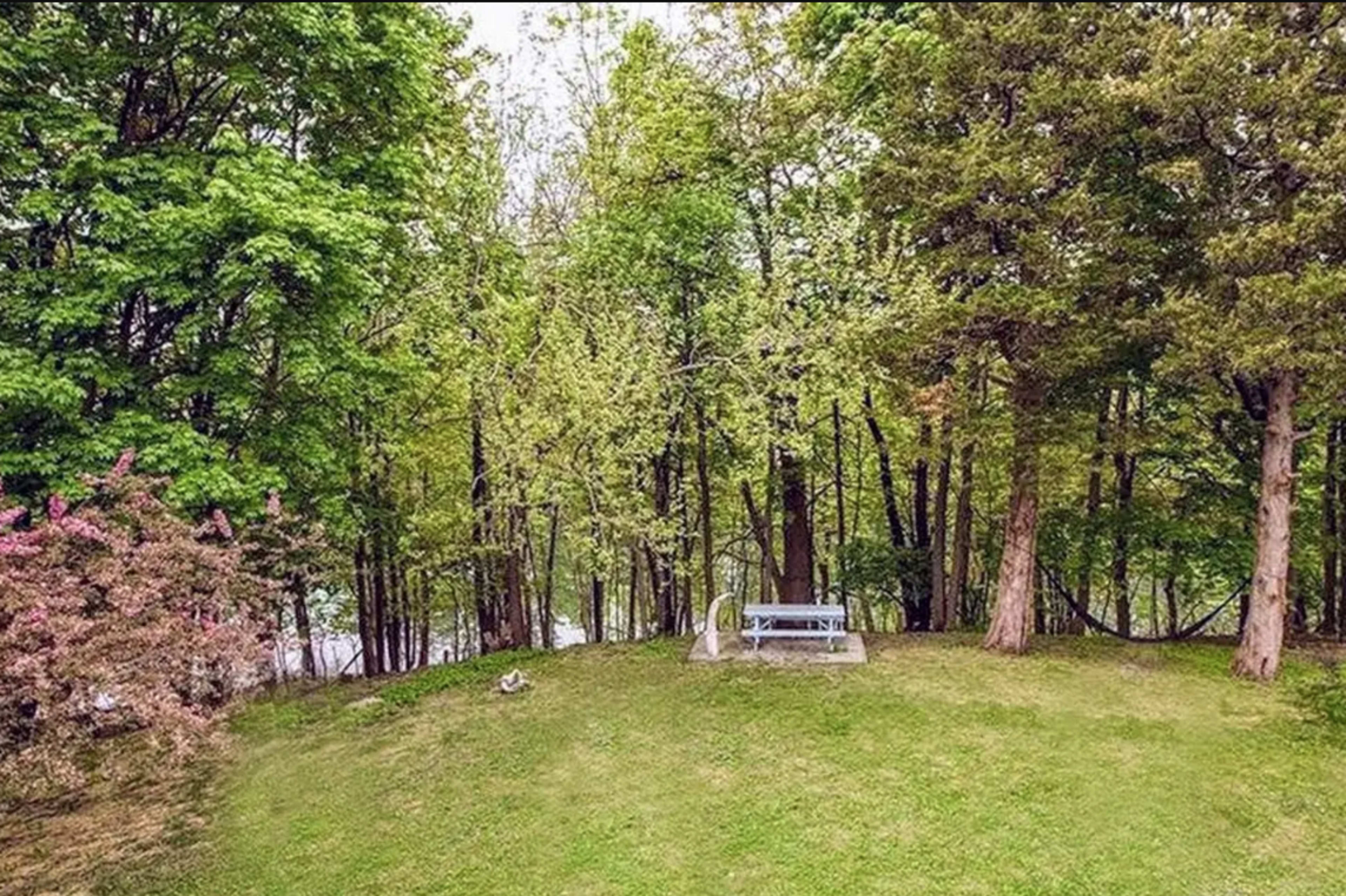 A picnic table sits on a grassy area surrounded by tall trees and shrubs.