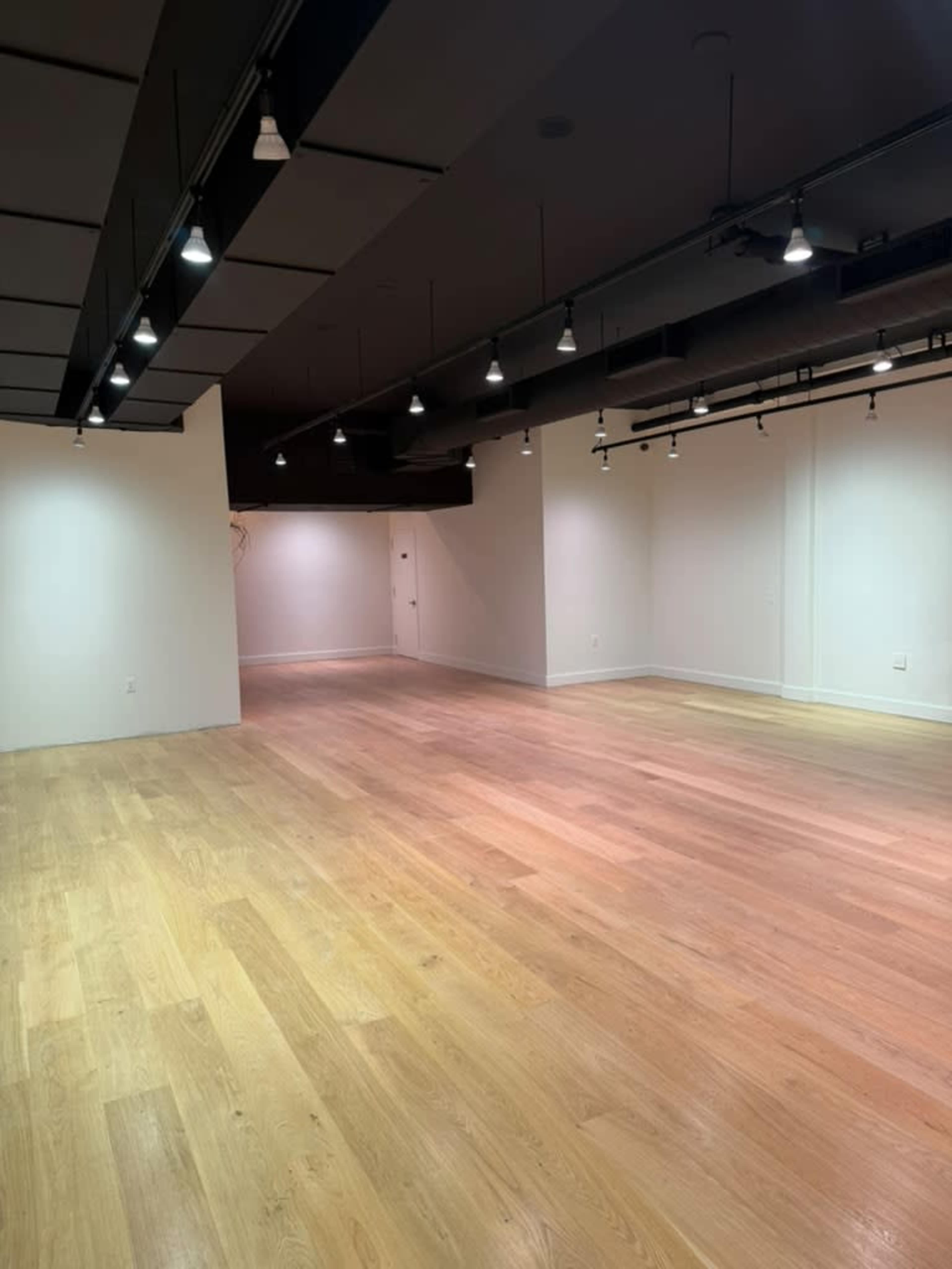 The image shows a spacious, empty room with wooden floors and modern lighting fixtures.