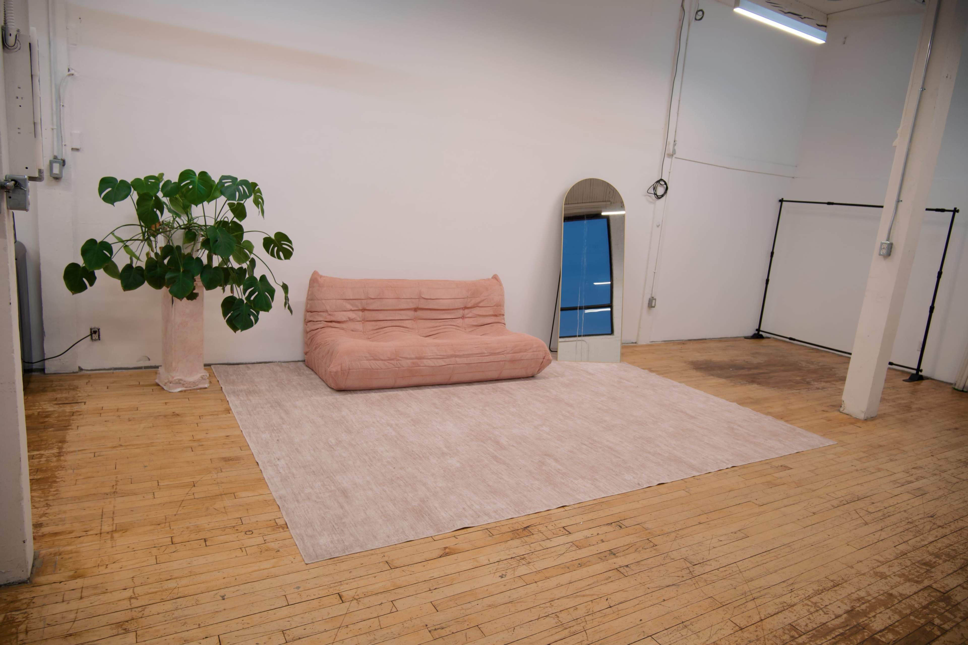 The image shows a minimalist room with light wooden flooring, a pink couch, a large mirror, a potted plant, and a neutral area rug.