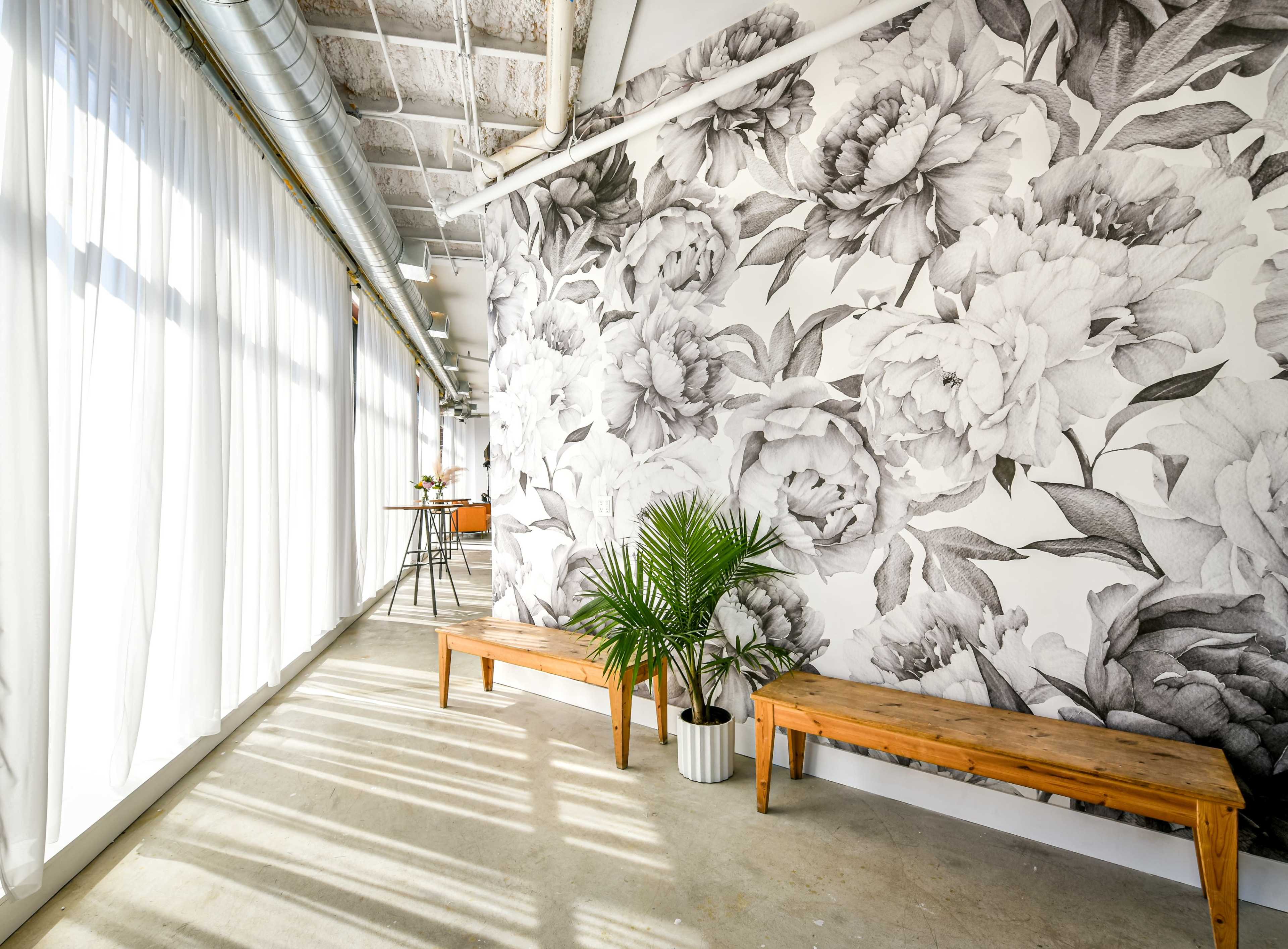 A brightly lit interior space with a large floral wallpaper, two wooden benches, and a potted plant.