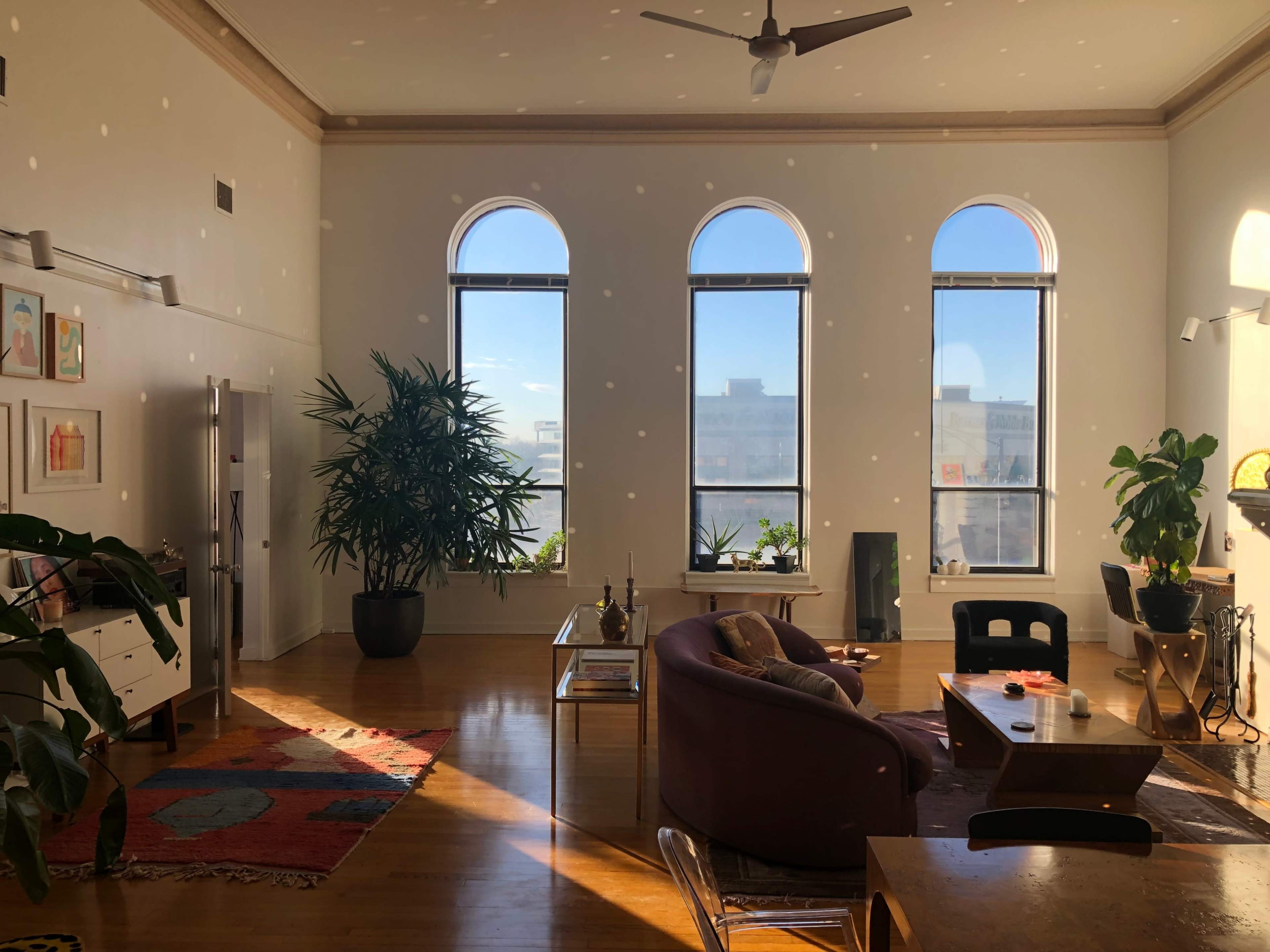 A spacious living area features three large arched windows, a variety of plants, and modern furniture arranged around a coffee table.