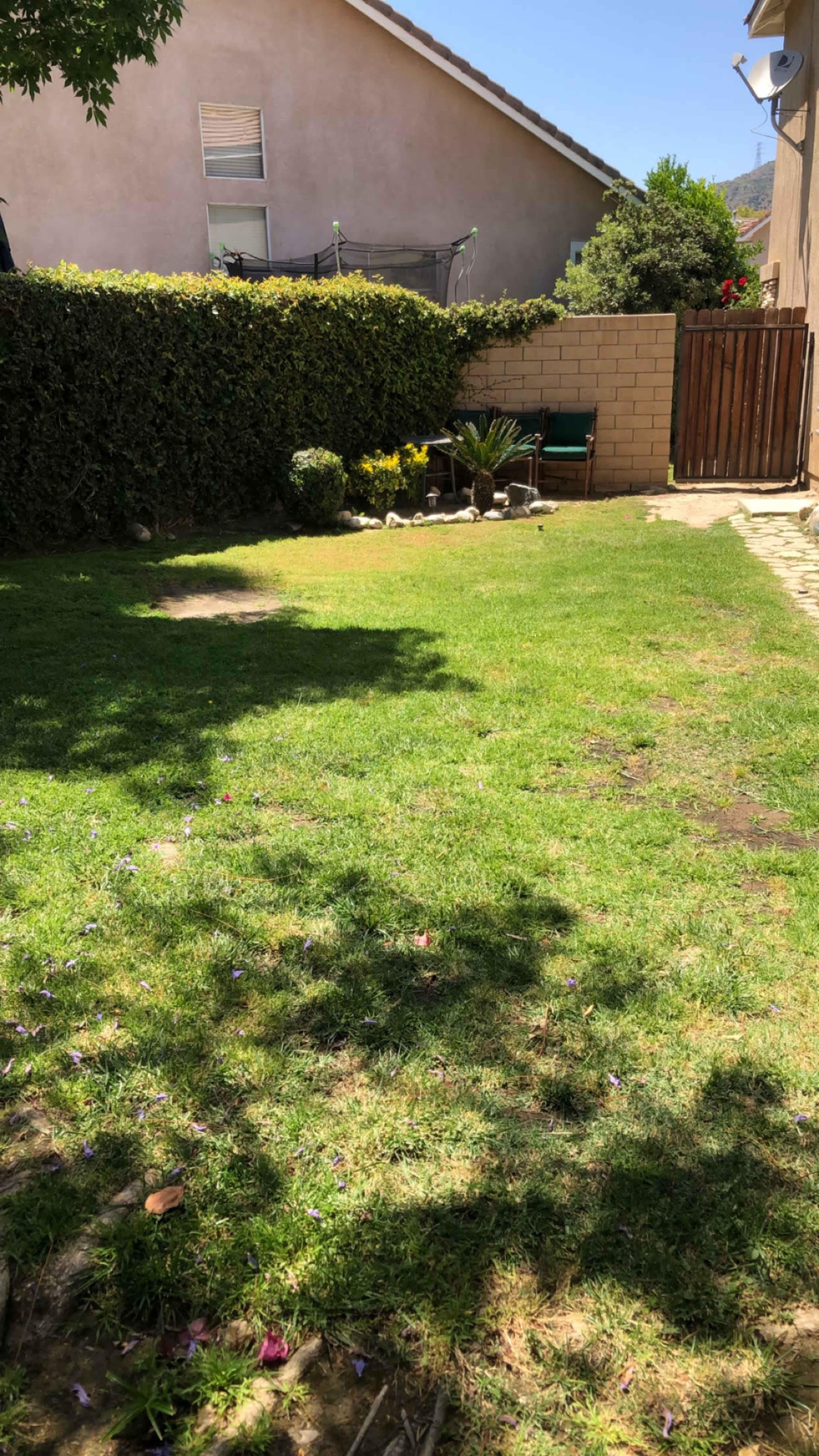 A grassy backyard with a small stone path, a wooden fence, and a table set near a hedge.