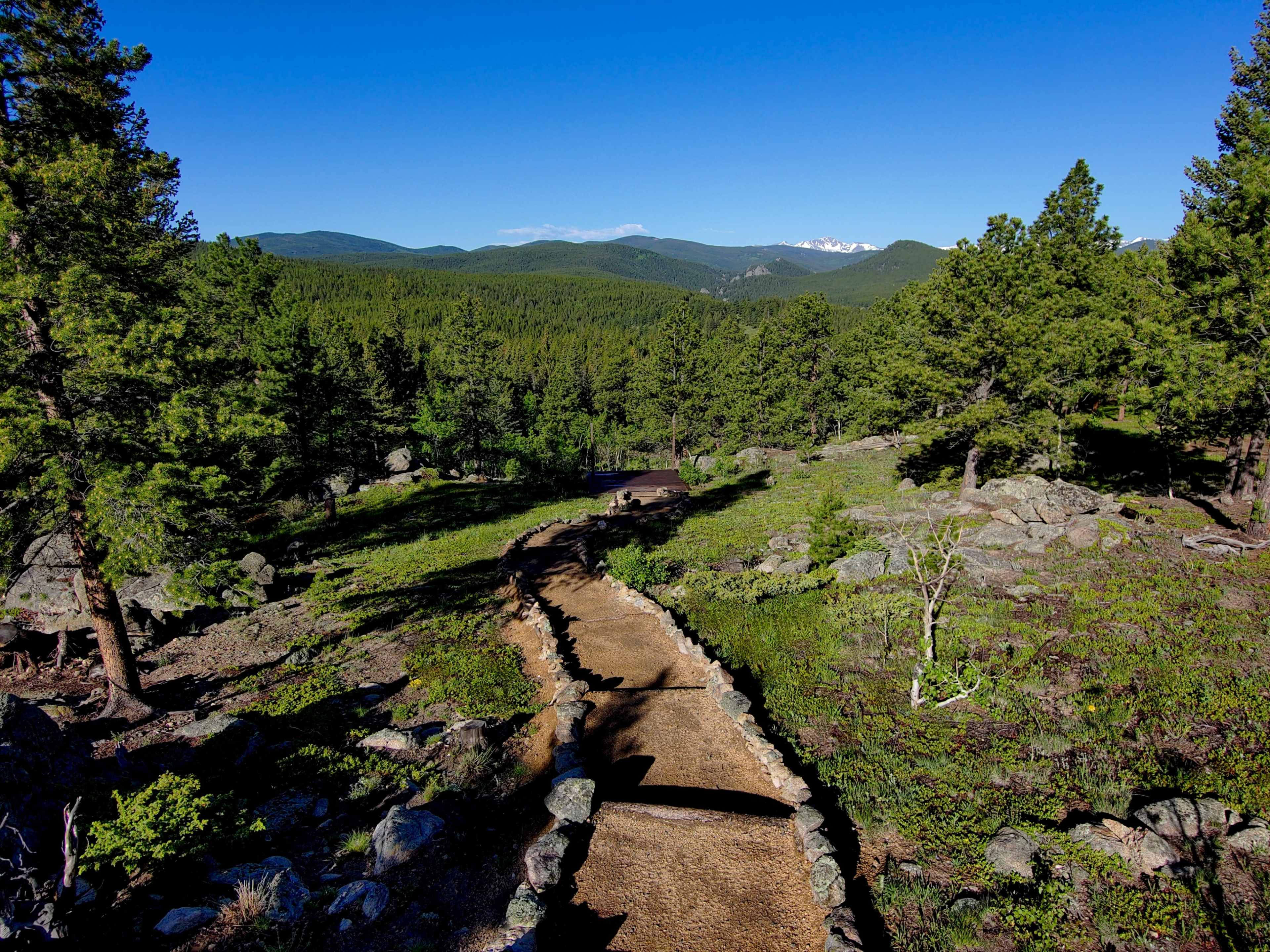 A winding dirt path leads through a forested area with scattered rocks and distant mountains visible under a clear blue sky.