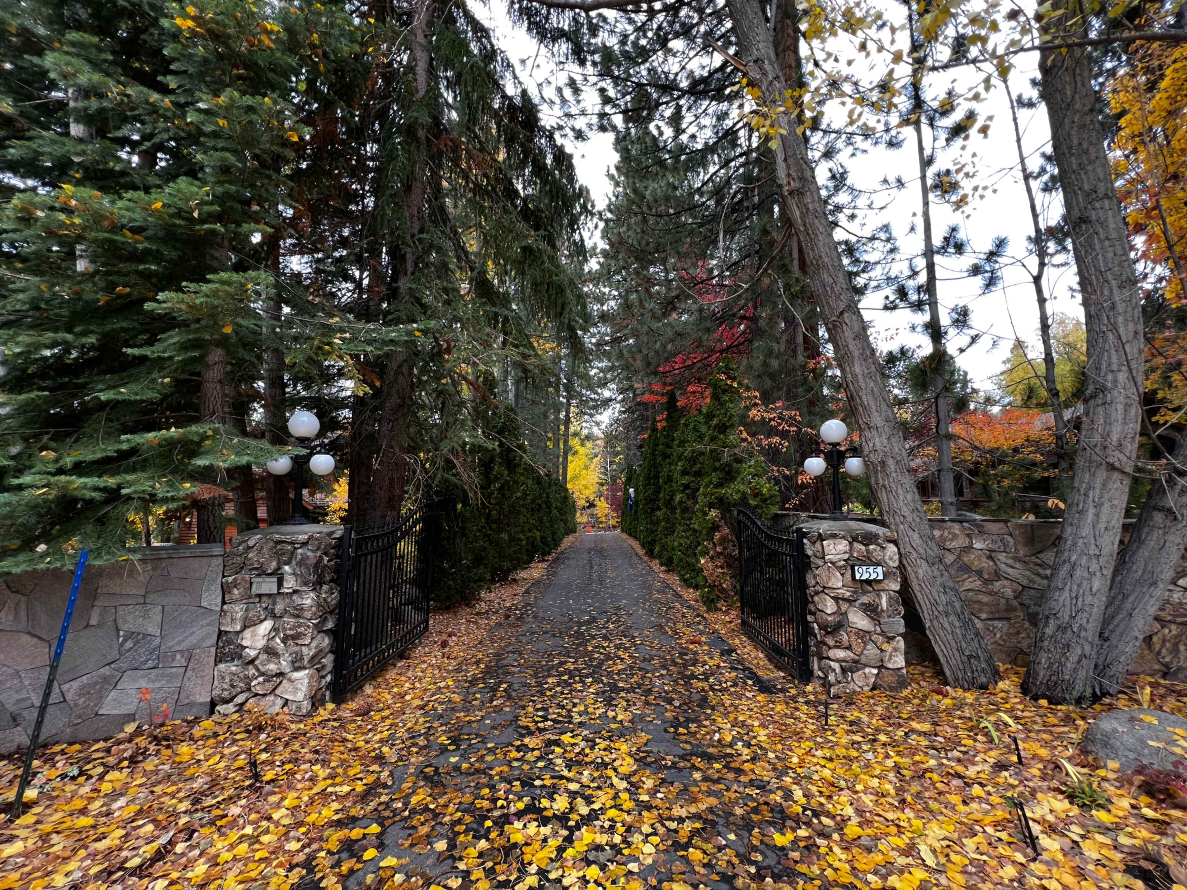 A gravel driveway lined with autumn trees leads through a stone gate adorned with white globes.