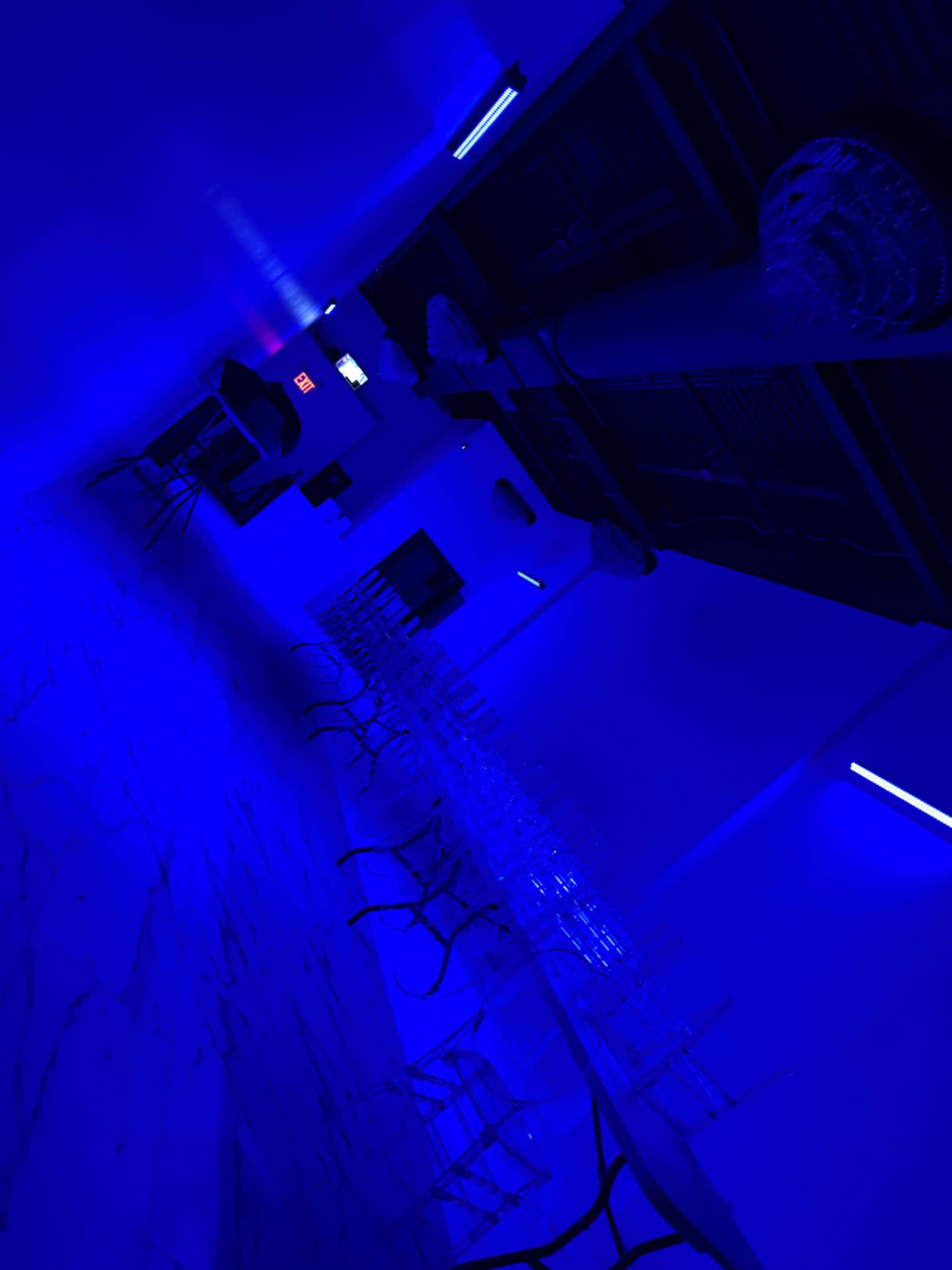 Modern Event Studio with Elegant Lighting & Open Layout Image in Staten Island, Staten Island, NY