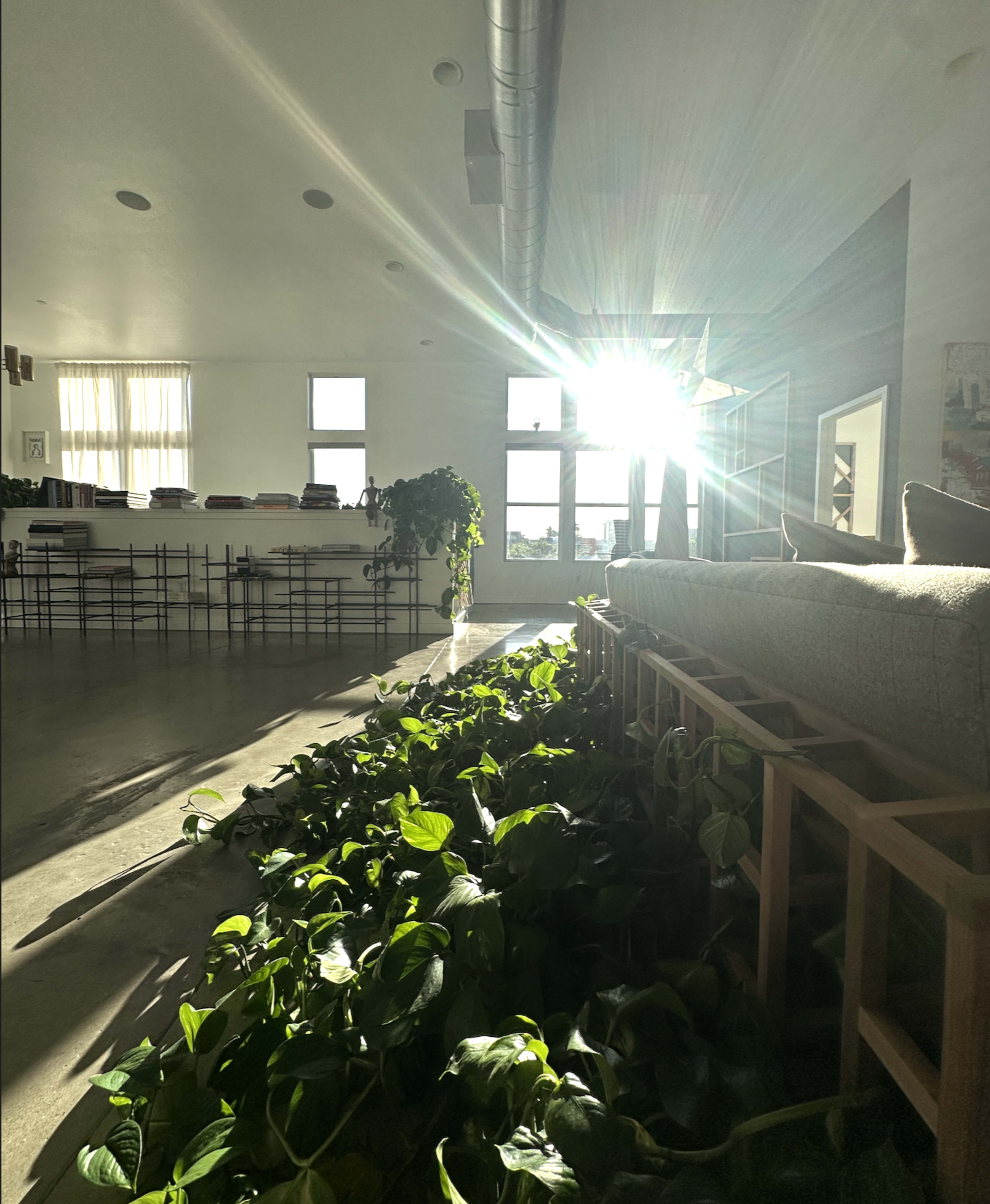 Sunlight streams through a large window onto a green plant-filled space with a cozy seating area.