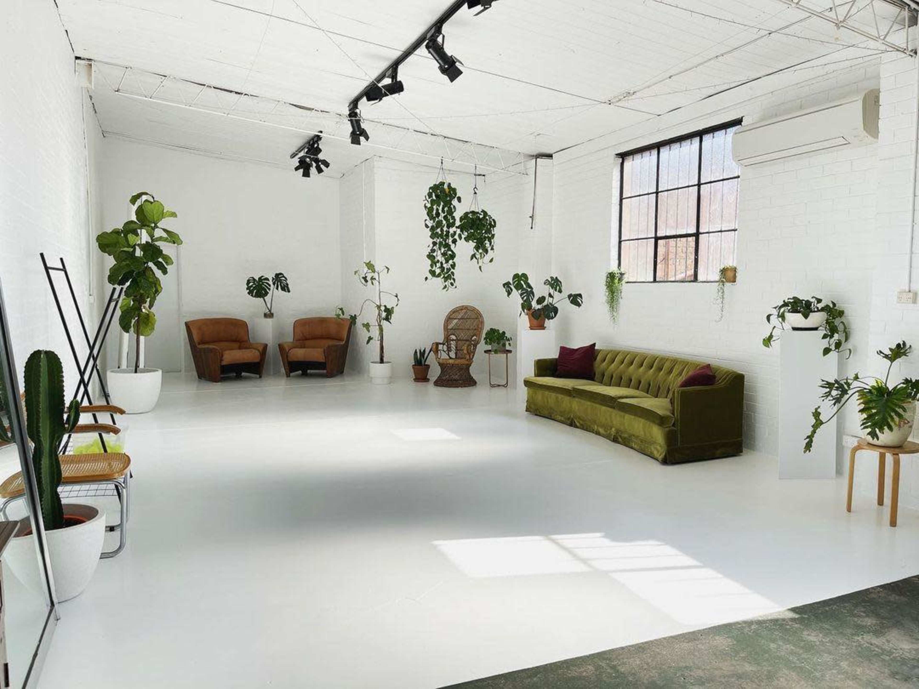 A spacious, well-lit room with white walls and floor, featuring a green velvet sofa, two brown armchairs, and various indoor plants.