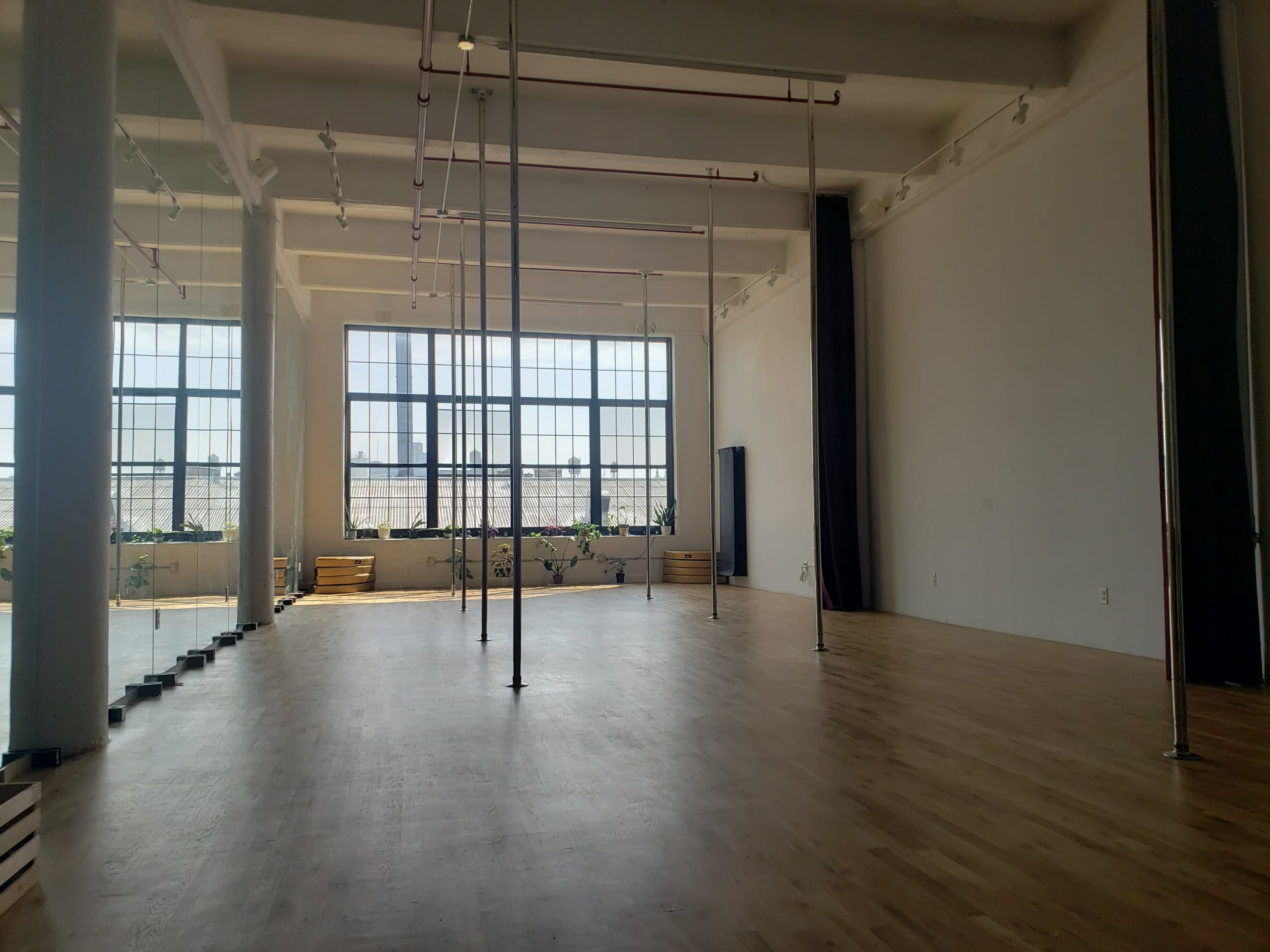 A spacious room with wooden flooring, several pole dance apparatuses, large windows allowing ample natural light, and a minimalist design featuring plants and mirrors.