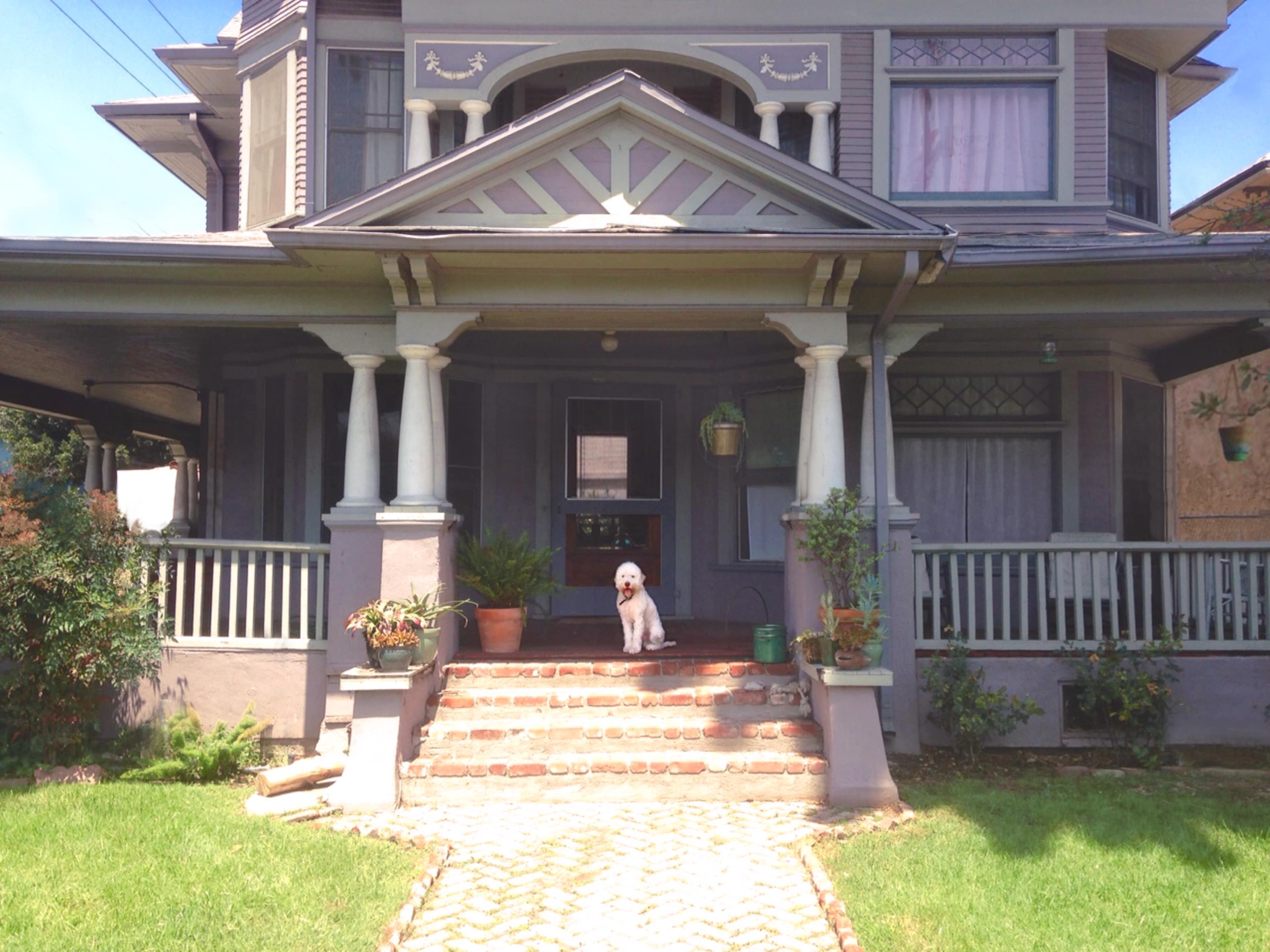 A white dog sits on the steps of a gray two-story house with a porch and decorative columns.