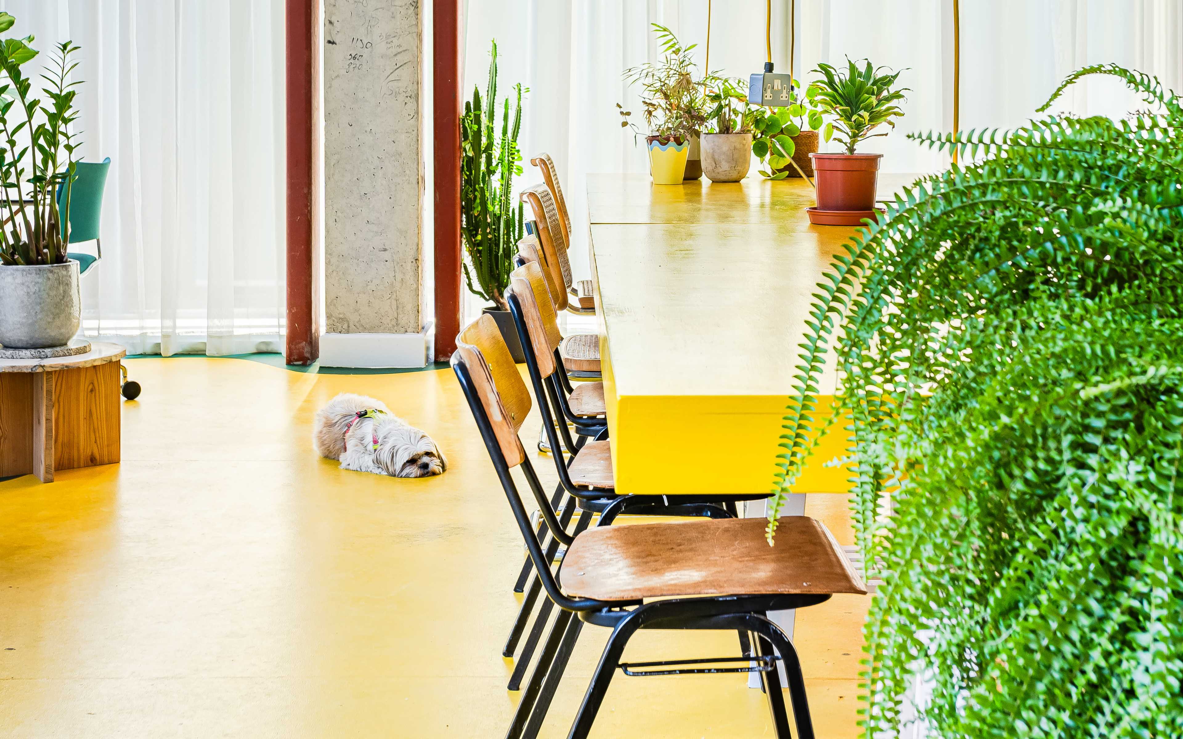 Open Bright Photography Space Image in Hackney, London, ENG