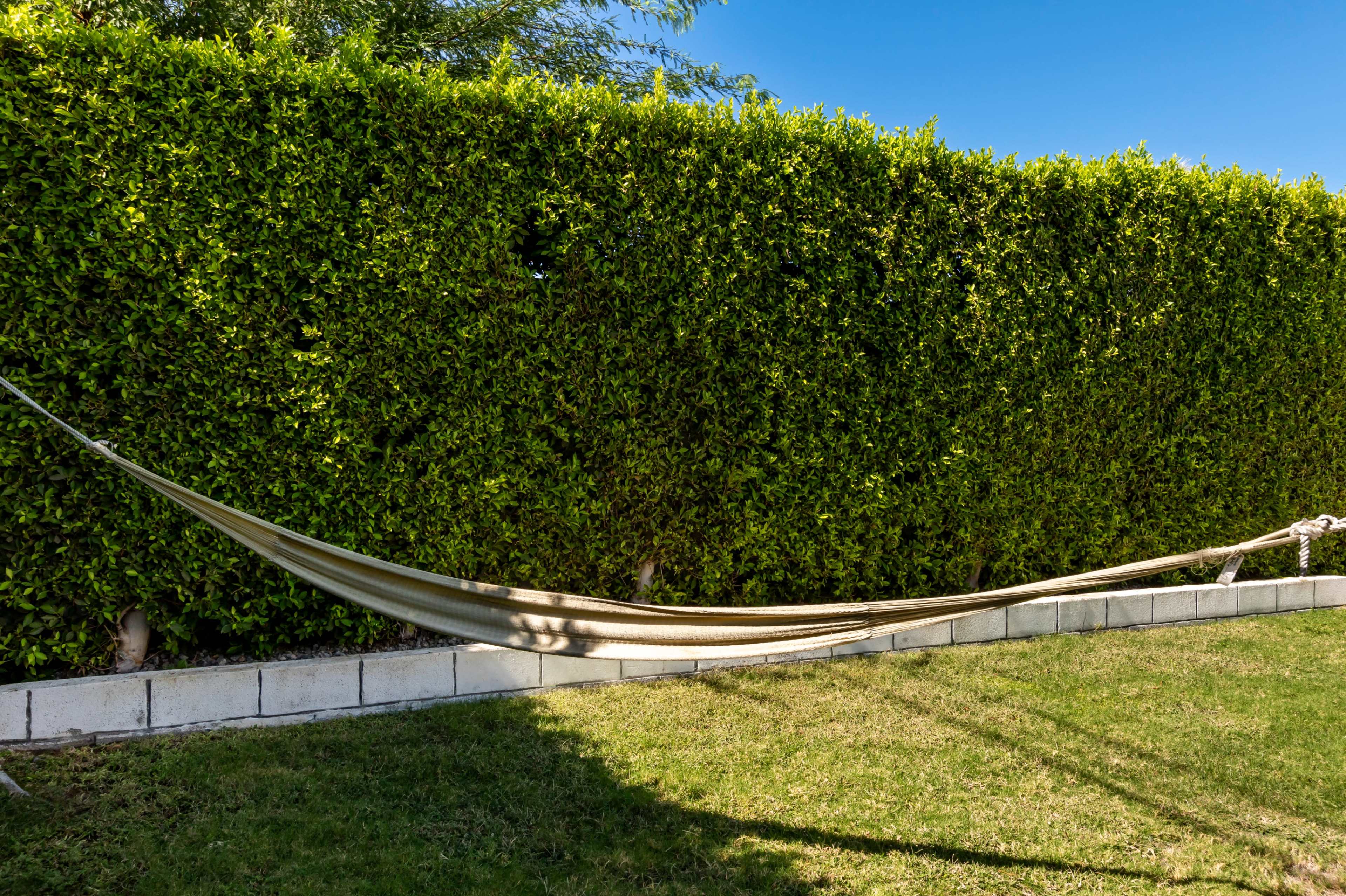 Modern Alexander A Frame located in historical Racquet Club, Palm Springs Image in Palm Springs, PALM SPRINGS, CA