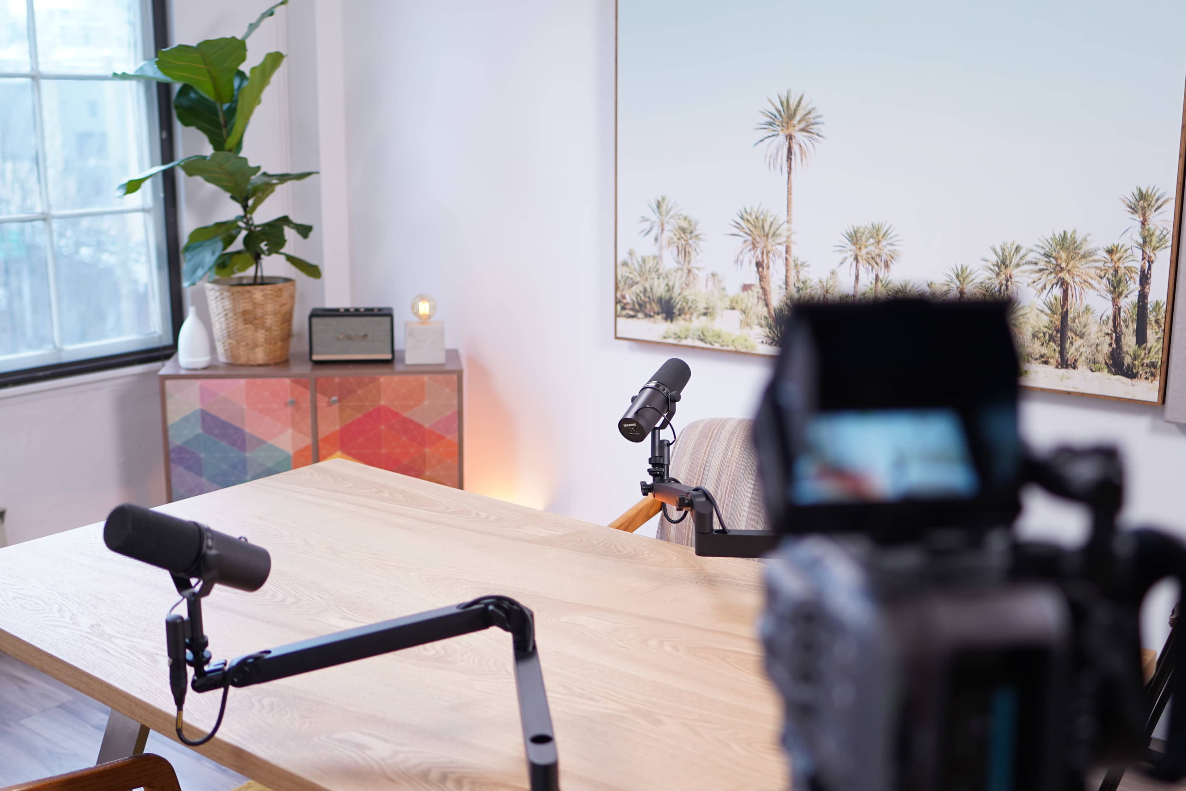 The image shows a modern workspace with a large wooden table, two microphones on stands, a decorative plant, and a piece of artwork featuring palm trees on the wall.