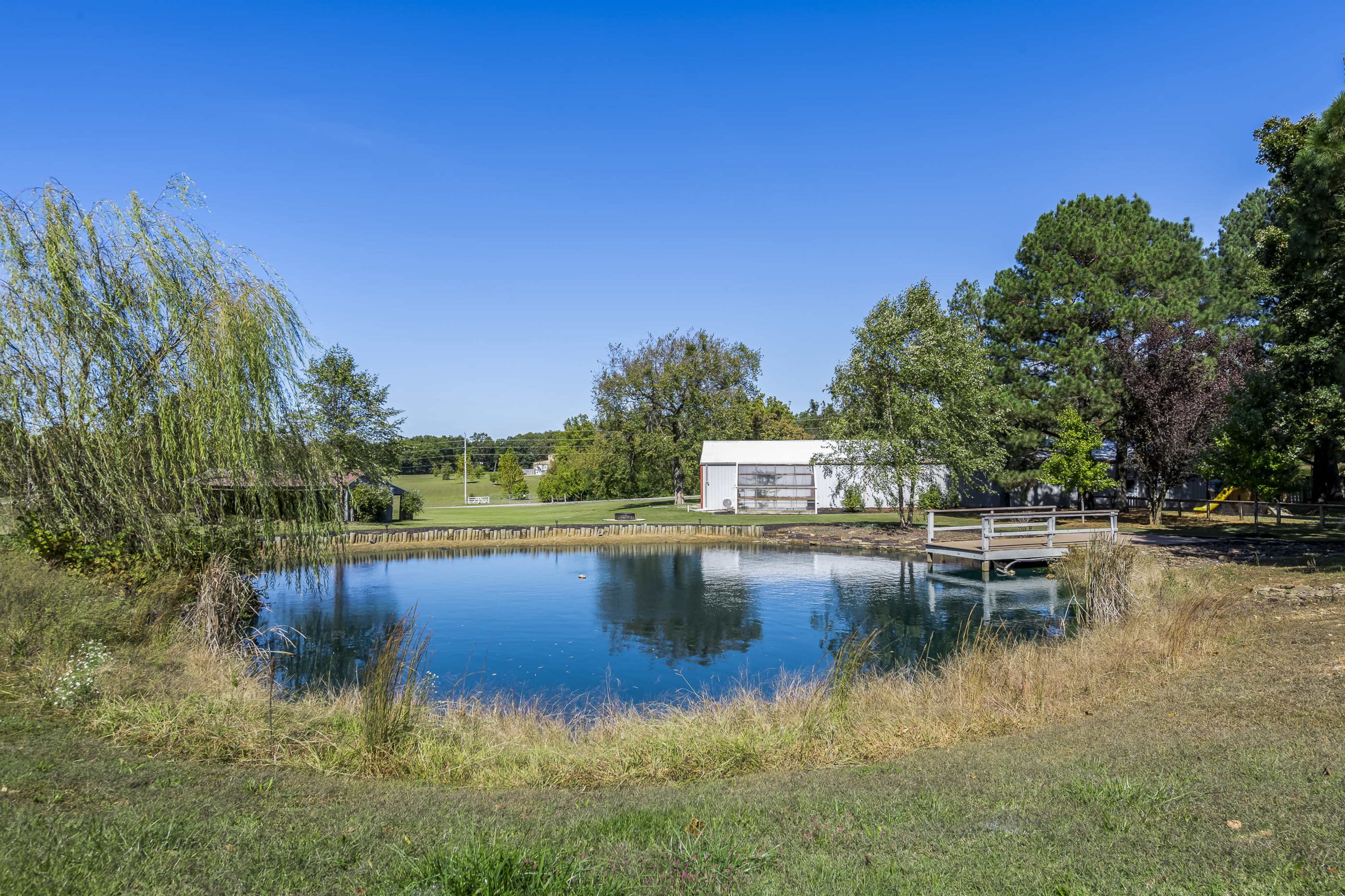 A tranquil pond is surrounded by grass and trees, with a small wooden dock visible on one side and a building in the background.