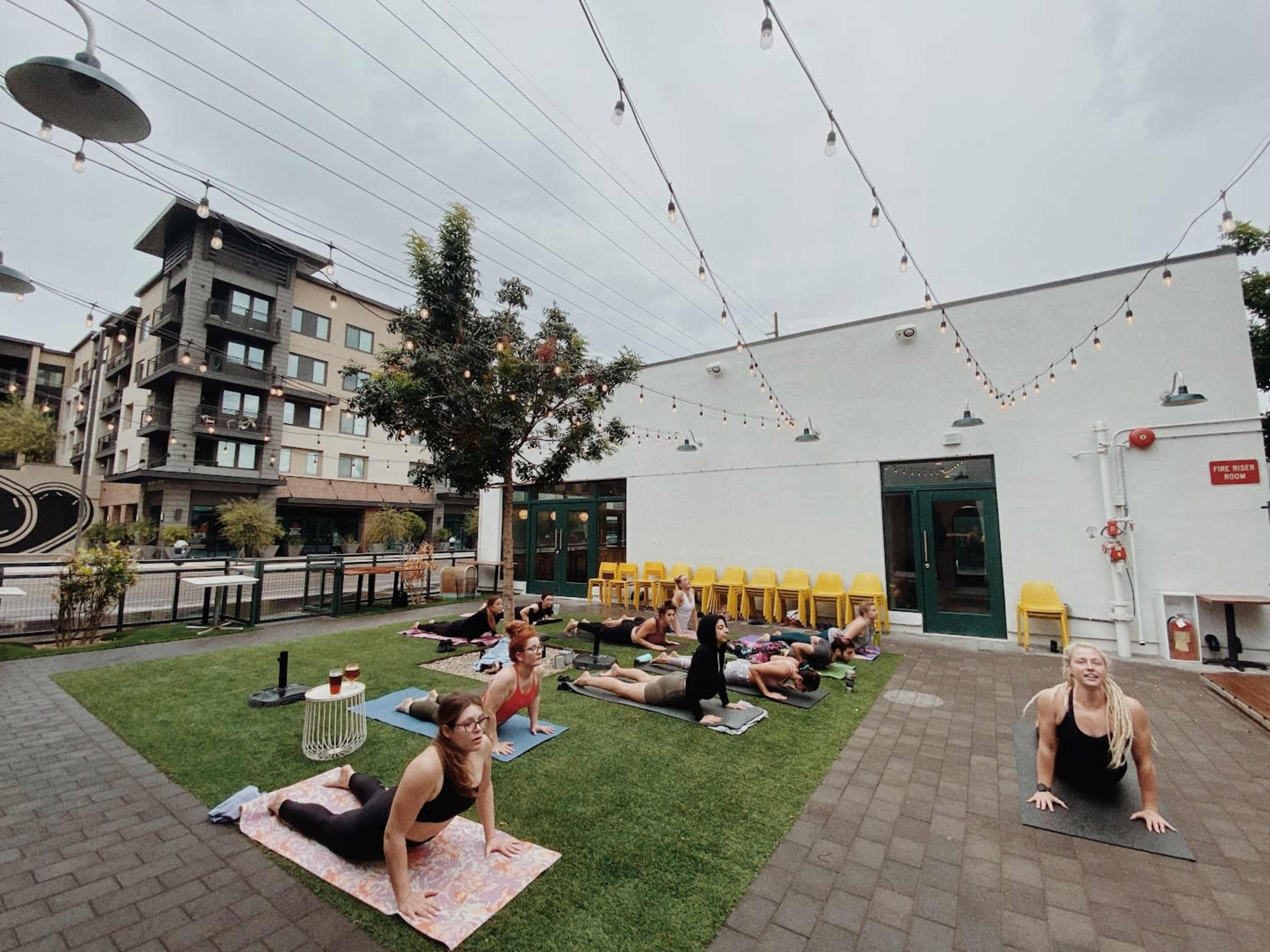 Women-Owned Brewery with Taproom & Beer Garden Image in Central City, Phoenix, AZ