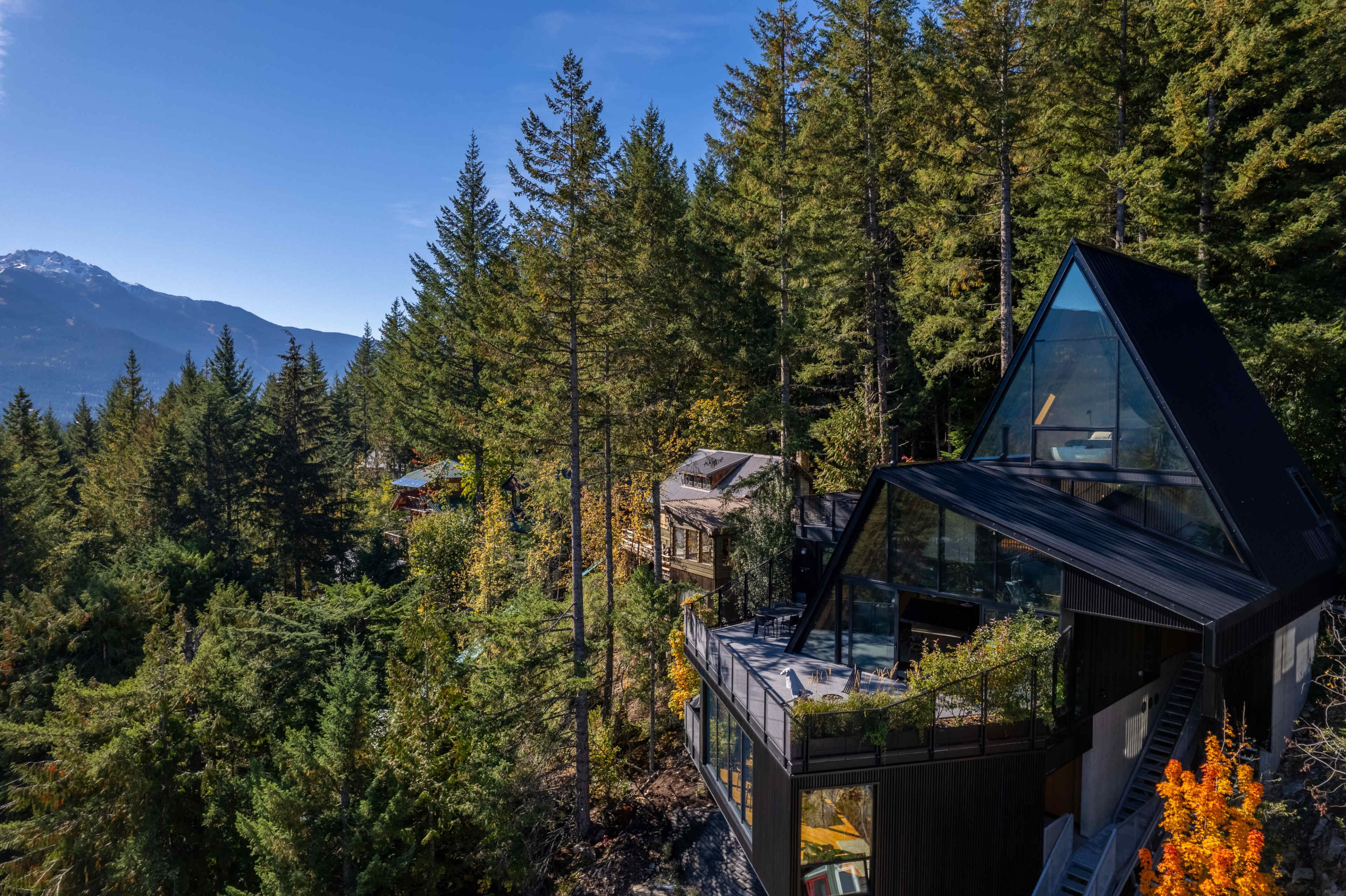 A modern house with large glass windows is situated among tall evergreen trees, overlooking a mountainous landscape.
