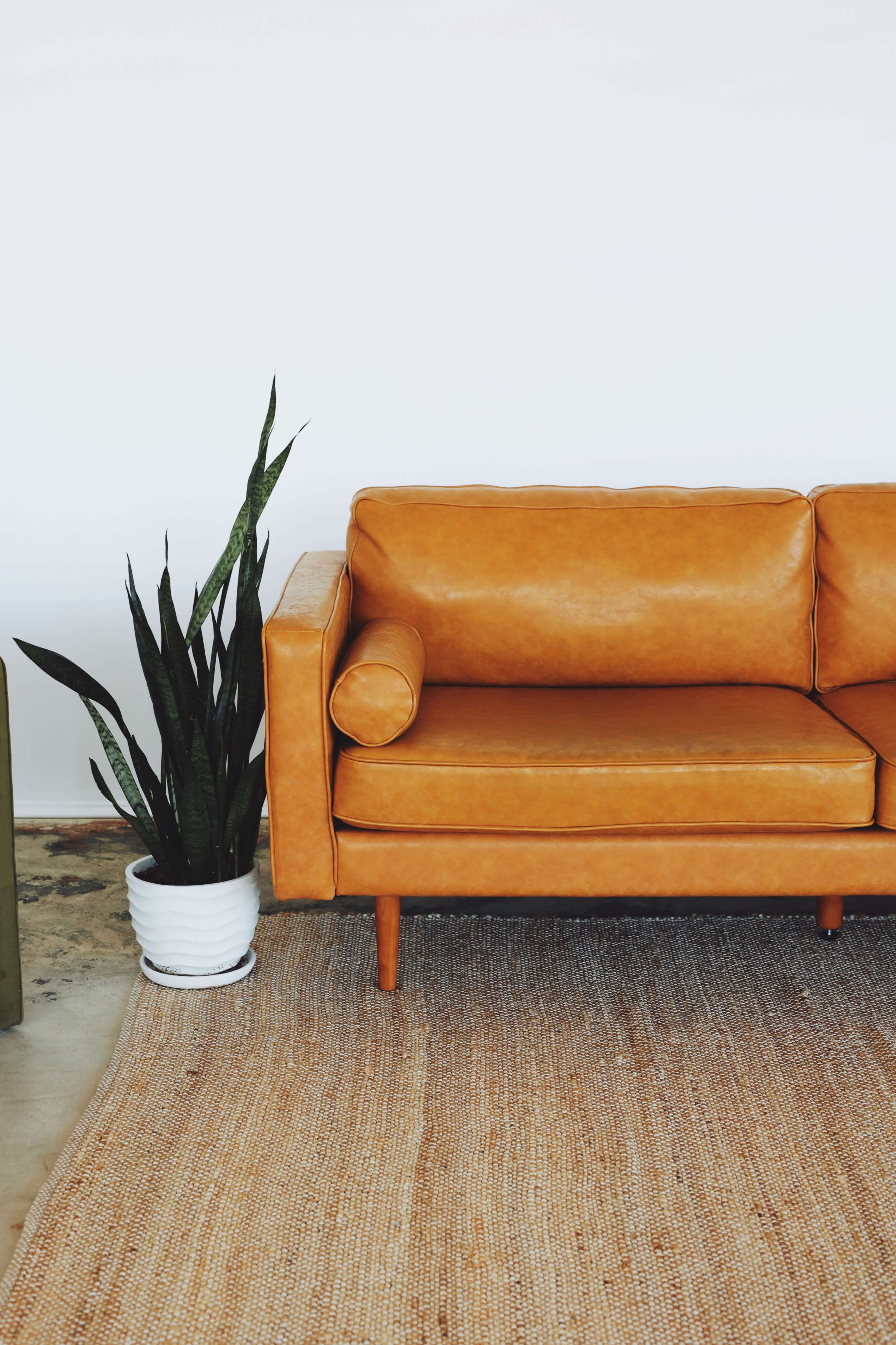 A tan leather sofa sits beside a tall green plant in a white pot on a textured rug.