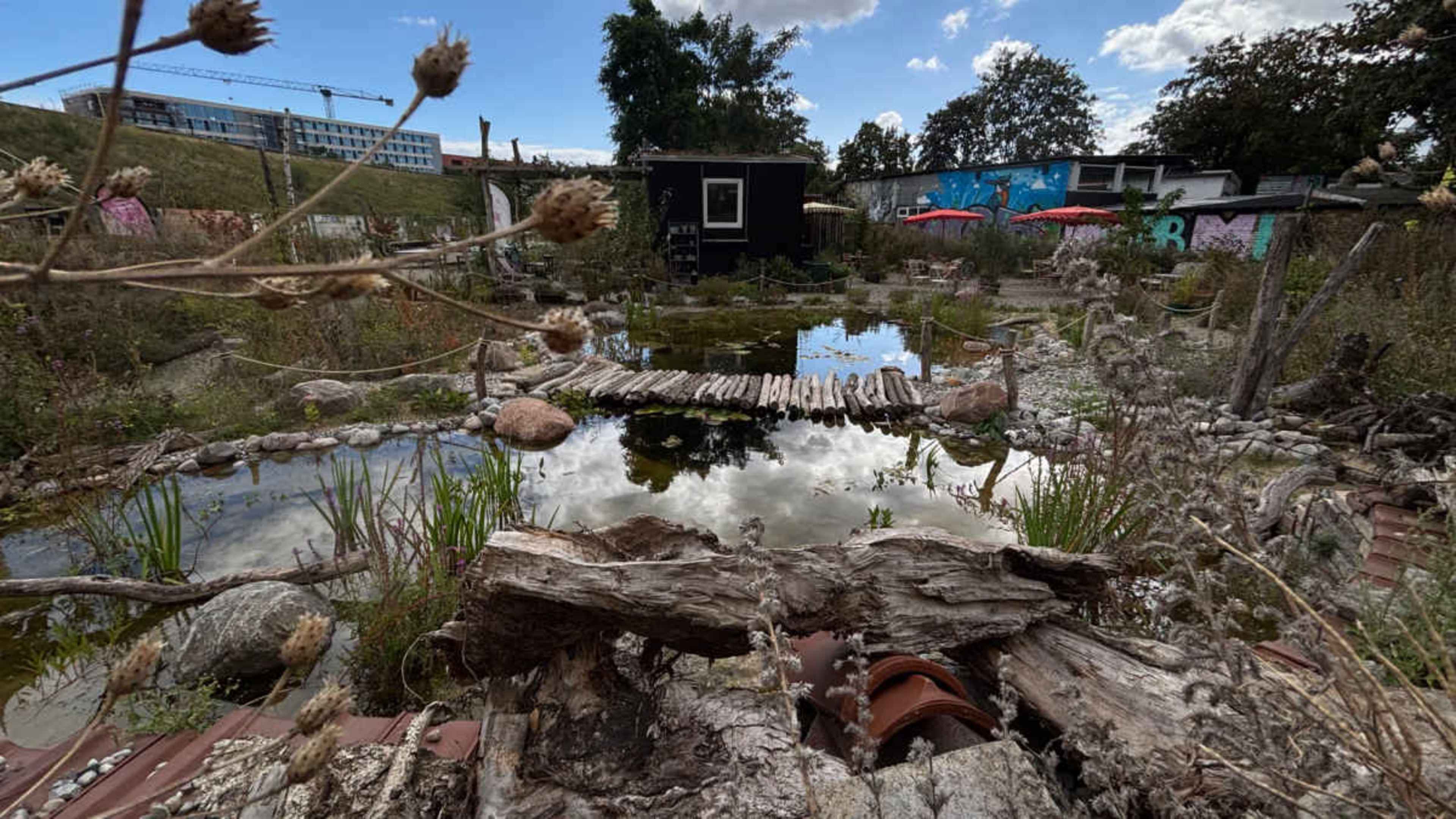 The image shows a serene garden landscape featuring a pond with a wooden bridge, surrounded by rocks, plants, and a small building in the background.