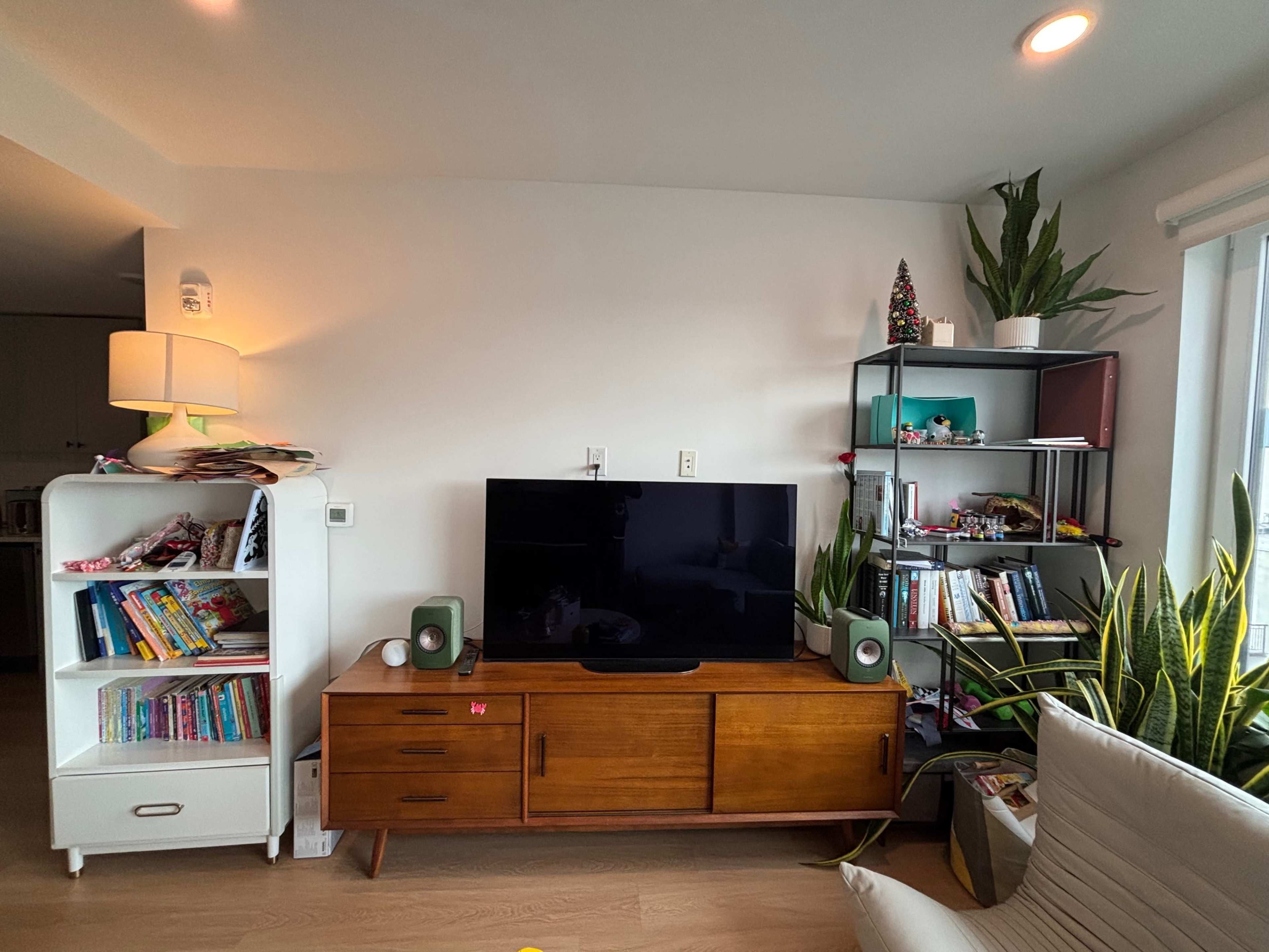 The image shows a living room corner featuring a television on a wooden cabinet, surrounded by bookshelves and decorative plants.