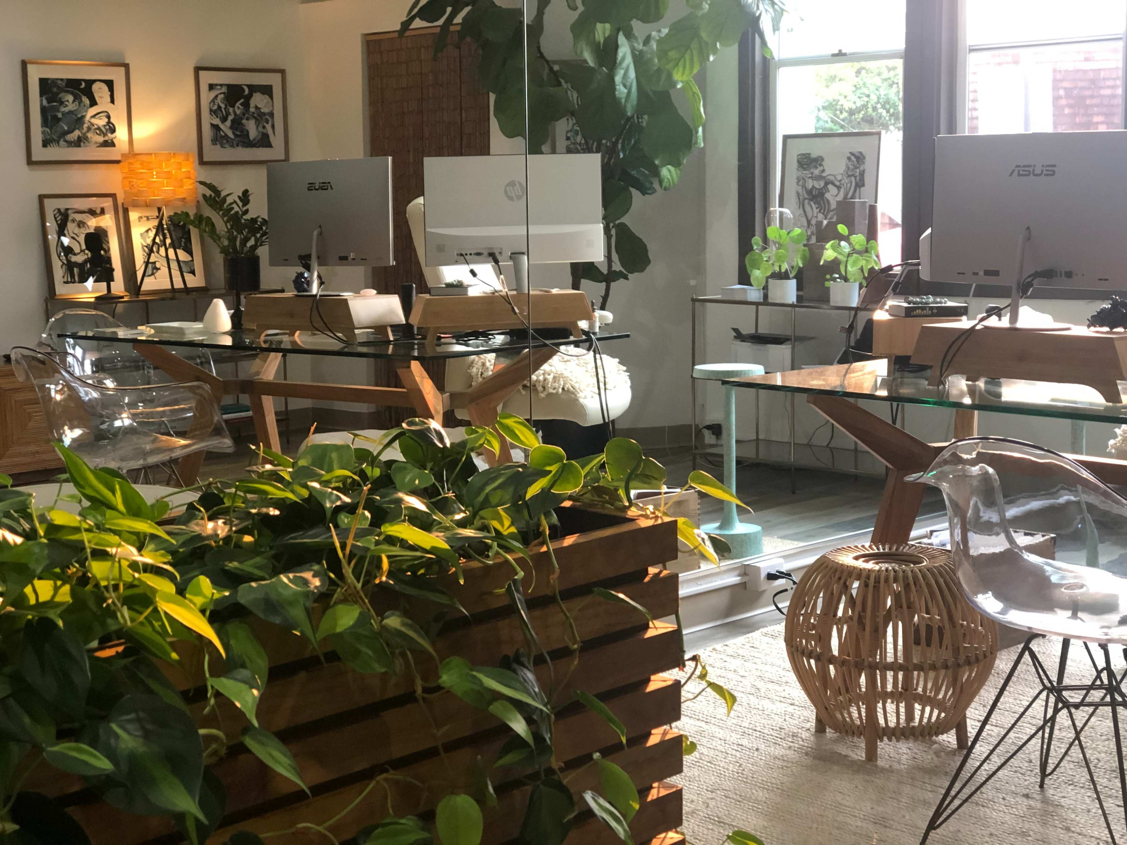 A modern, minimalist office space featuring clear desks, computer monitors, and various indoor plants.
