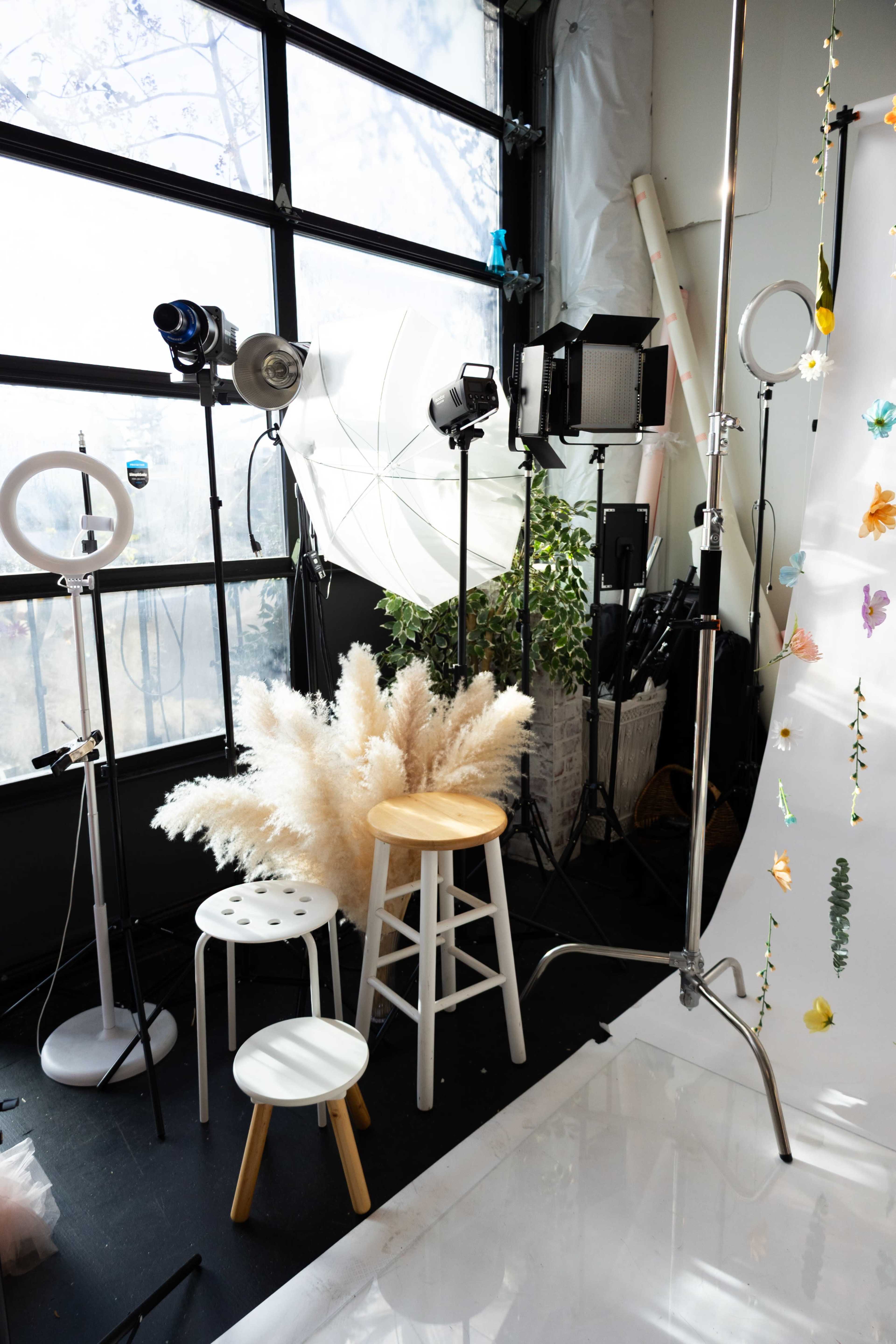 Cute n Cozy SE Natural Light Photo+Art Studio w/ Roll-up Garage Door Image in Southeast Portland, Portland, OR