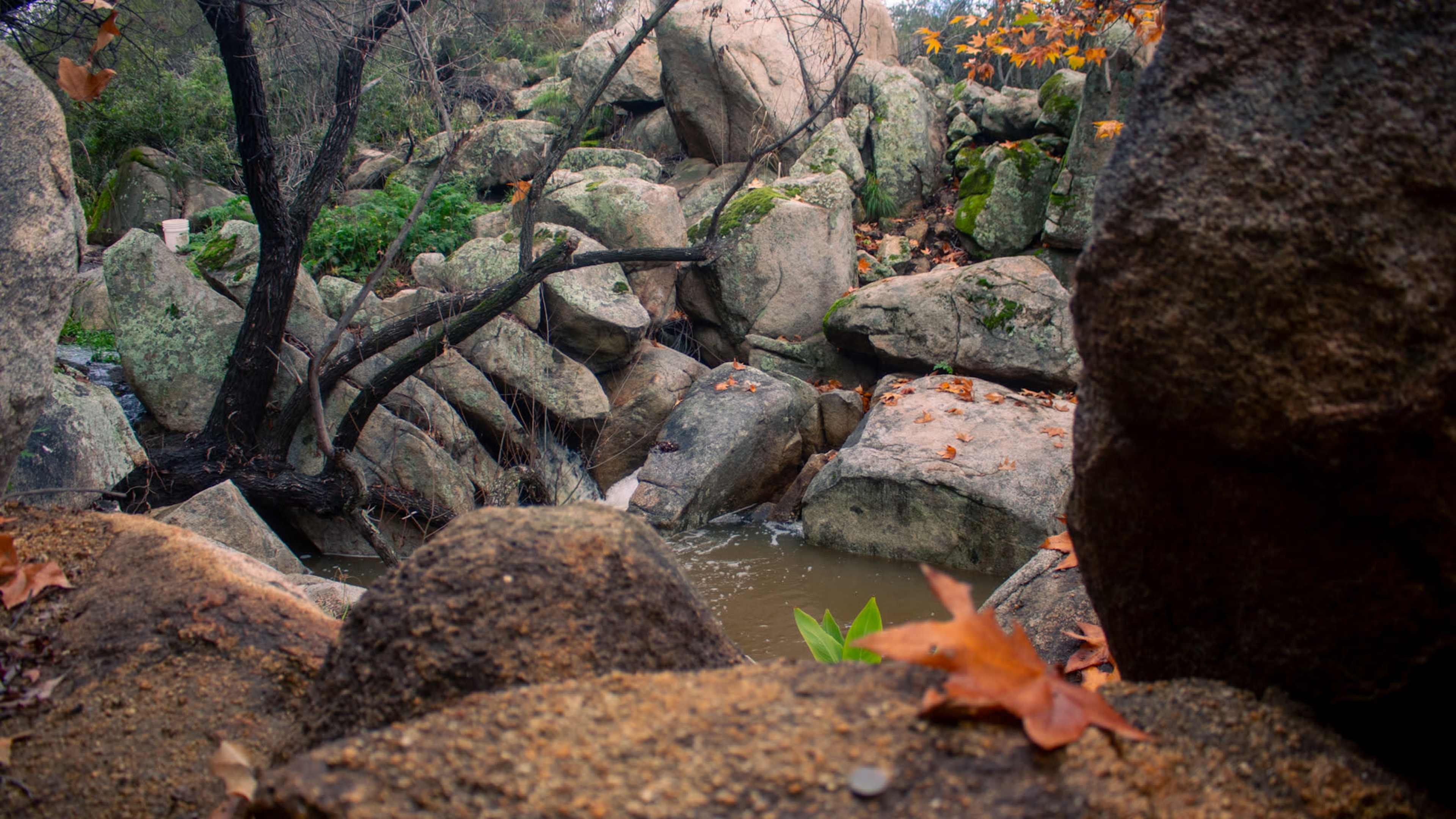 A cluster of large rocks and boulders surrounds a small body of water, with some leaves scattered on the ground.