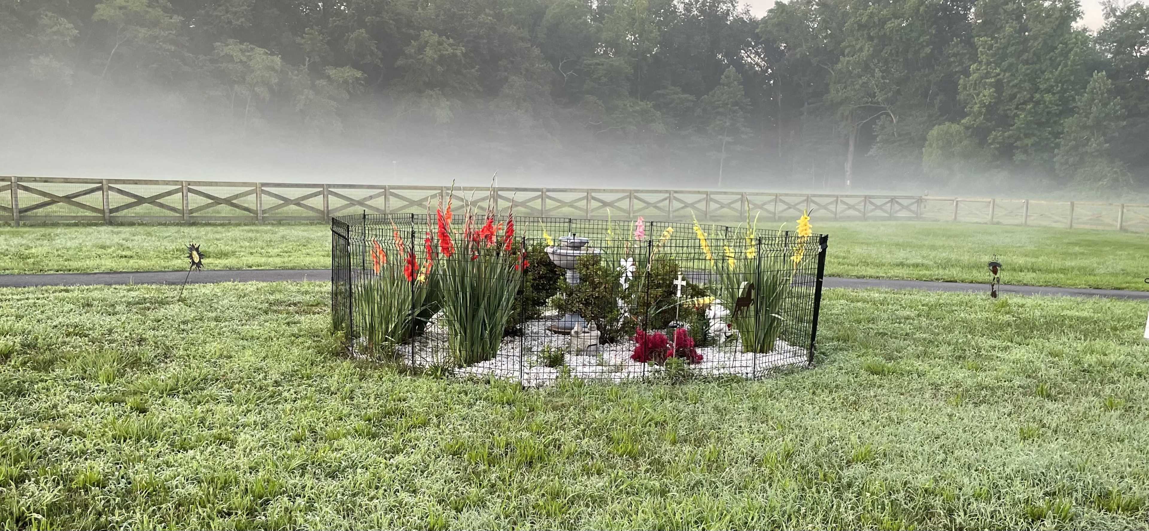 Rancho La India Outdoor Estate Image in , Clayton, DE