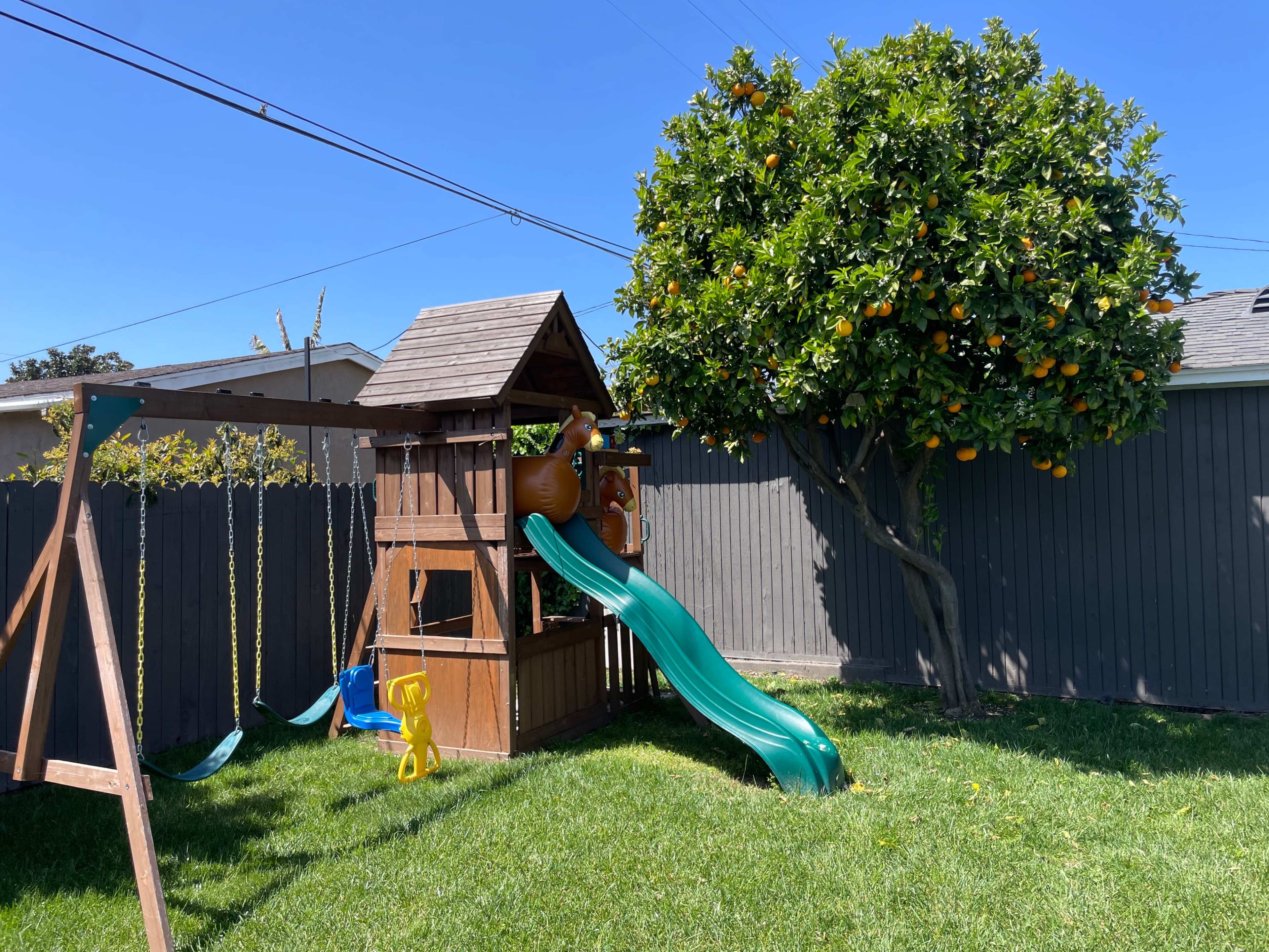 A play structure with a slide and a tree bearing oranges is situated in a grassy yard, surrounded by a wooden fence.