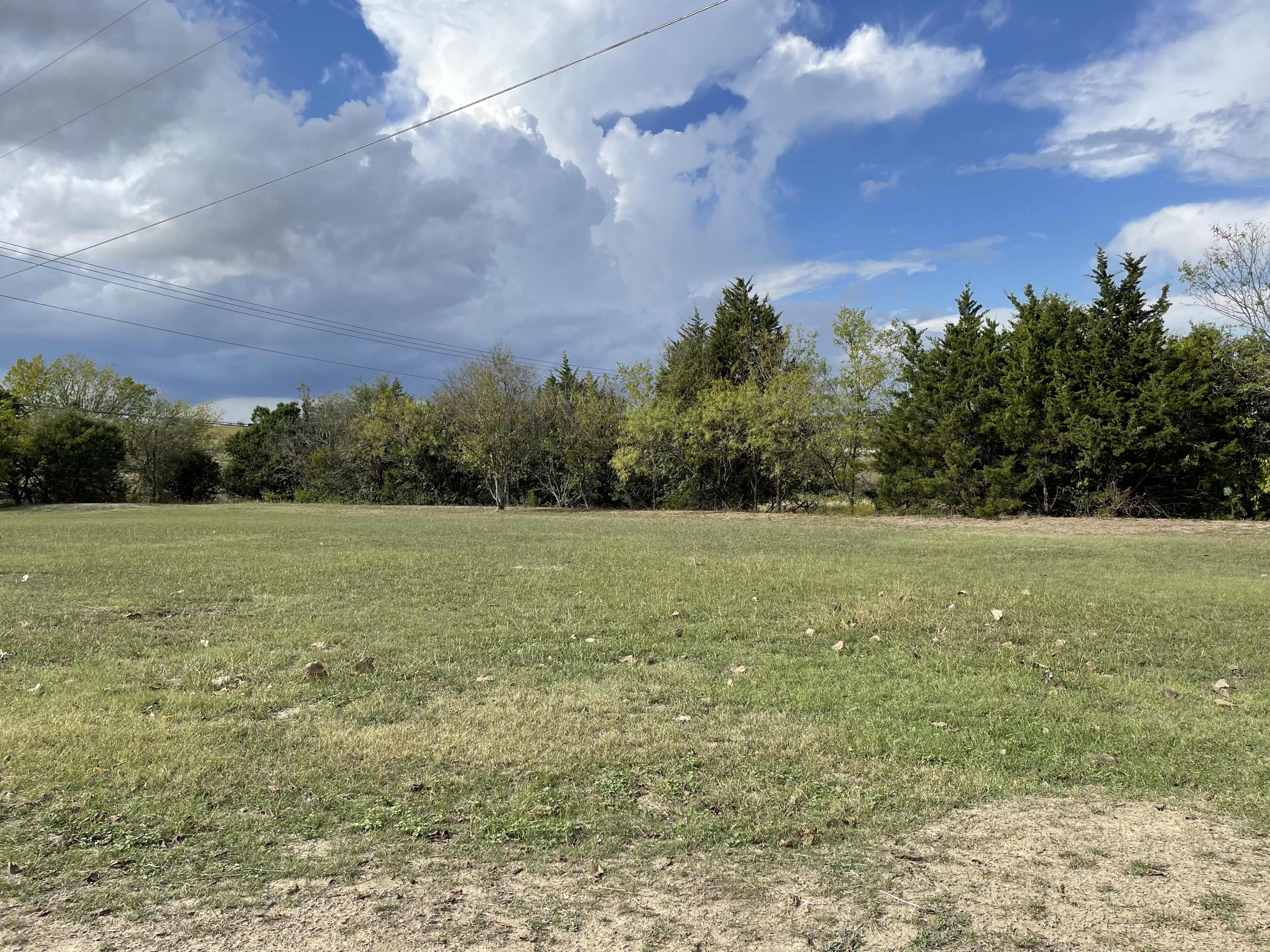 A grassy field features a line of trees along the edge under a partly cloudy sky.