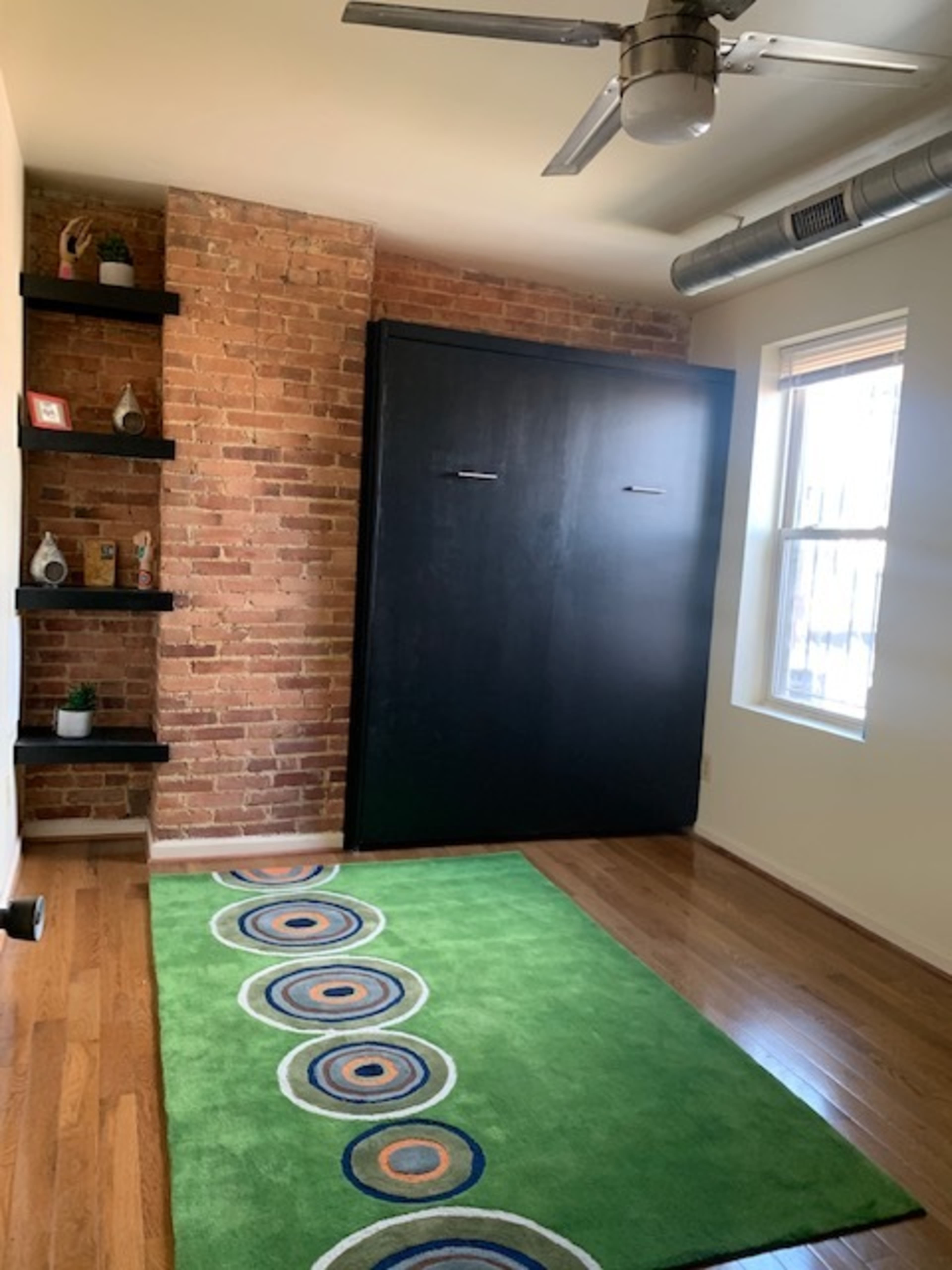 The image shows a room with a brick wall, a mounted black cabinet, a green rug with circular patterns, and a window letting in natural light.
