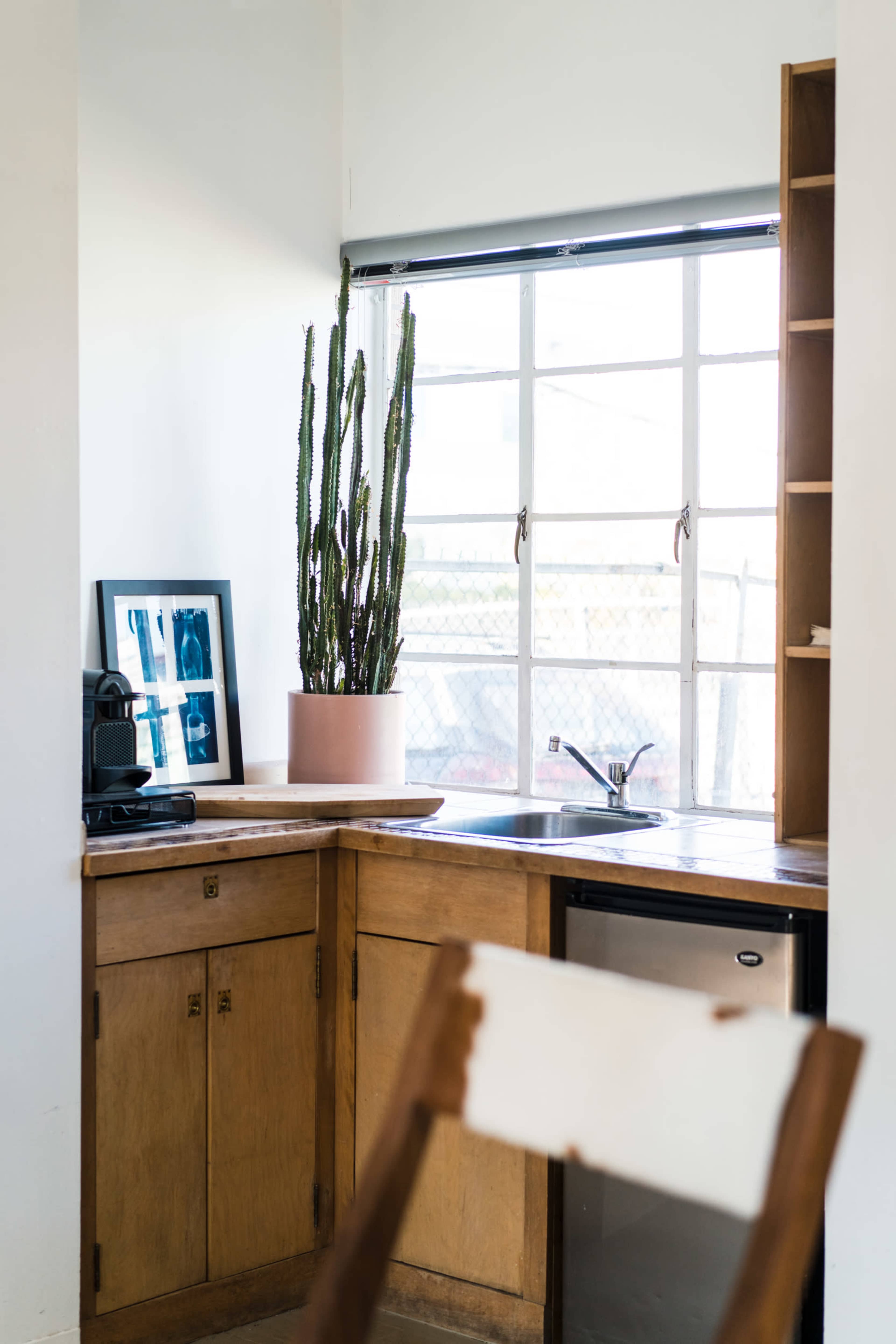 The image shows a kitchen corner with a sink, wooden cabinets, a potted cactus on the windowsill, and a framed picture on the wall.