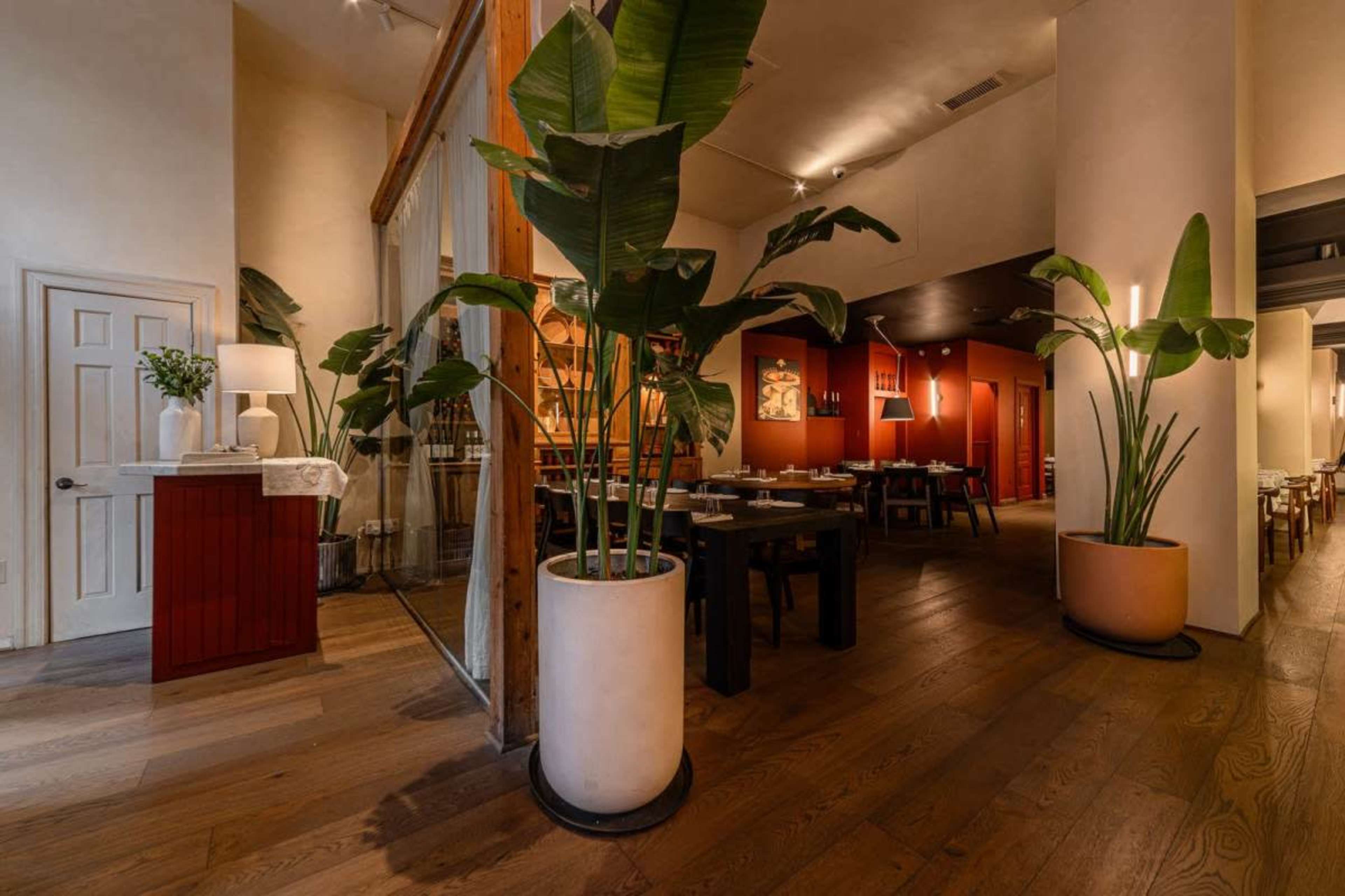The image shows the interior of a restaurant featuring wooden flooring, large potted plants, and a mix of red and neutral-colored walls.