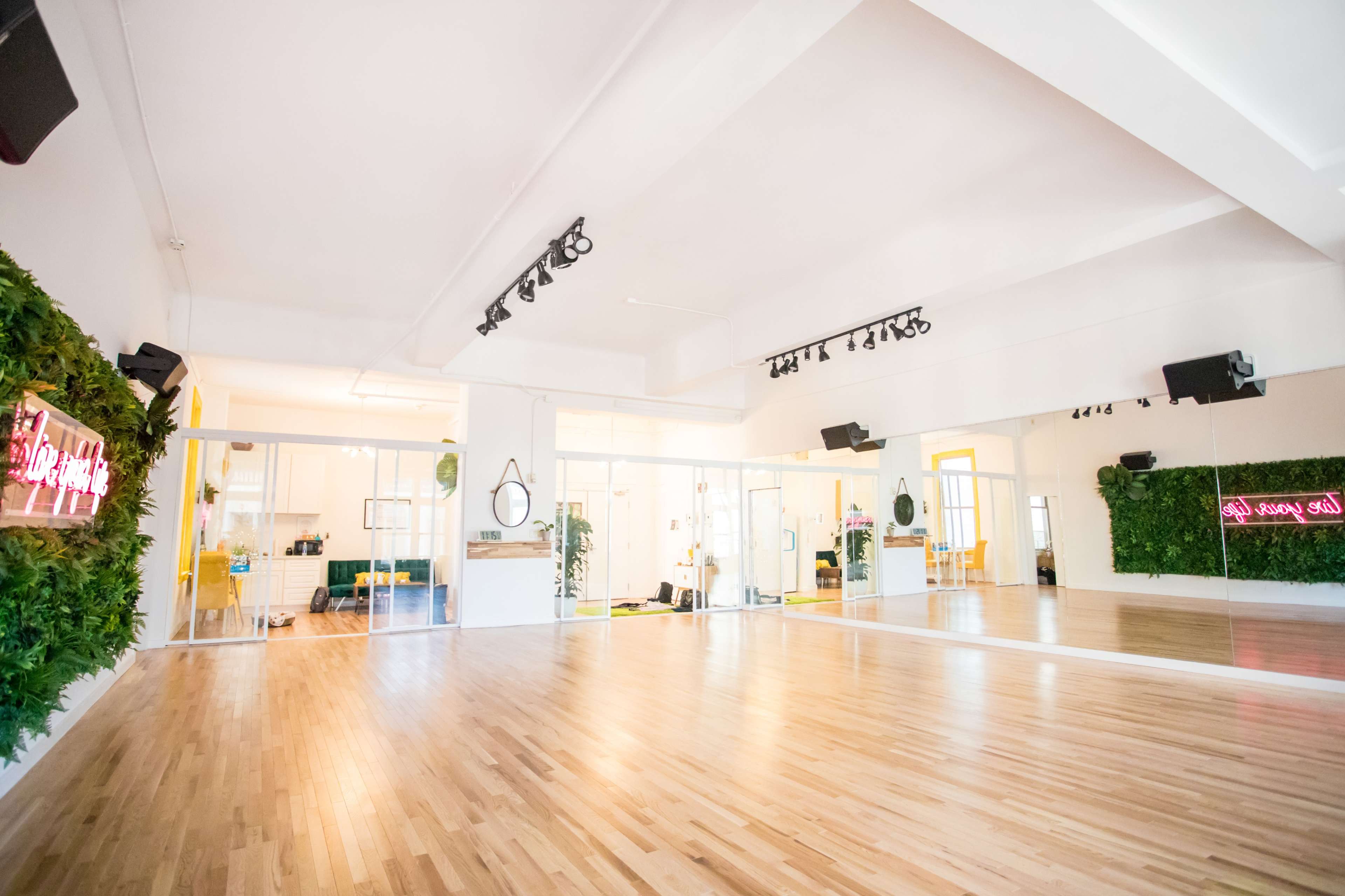 A spacious dance studio with wooden floors, large mirrors, and green plants on the walls, illuminated by track lighting.