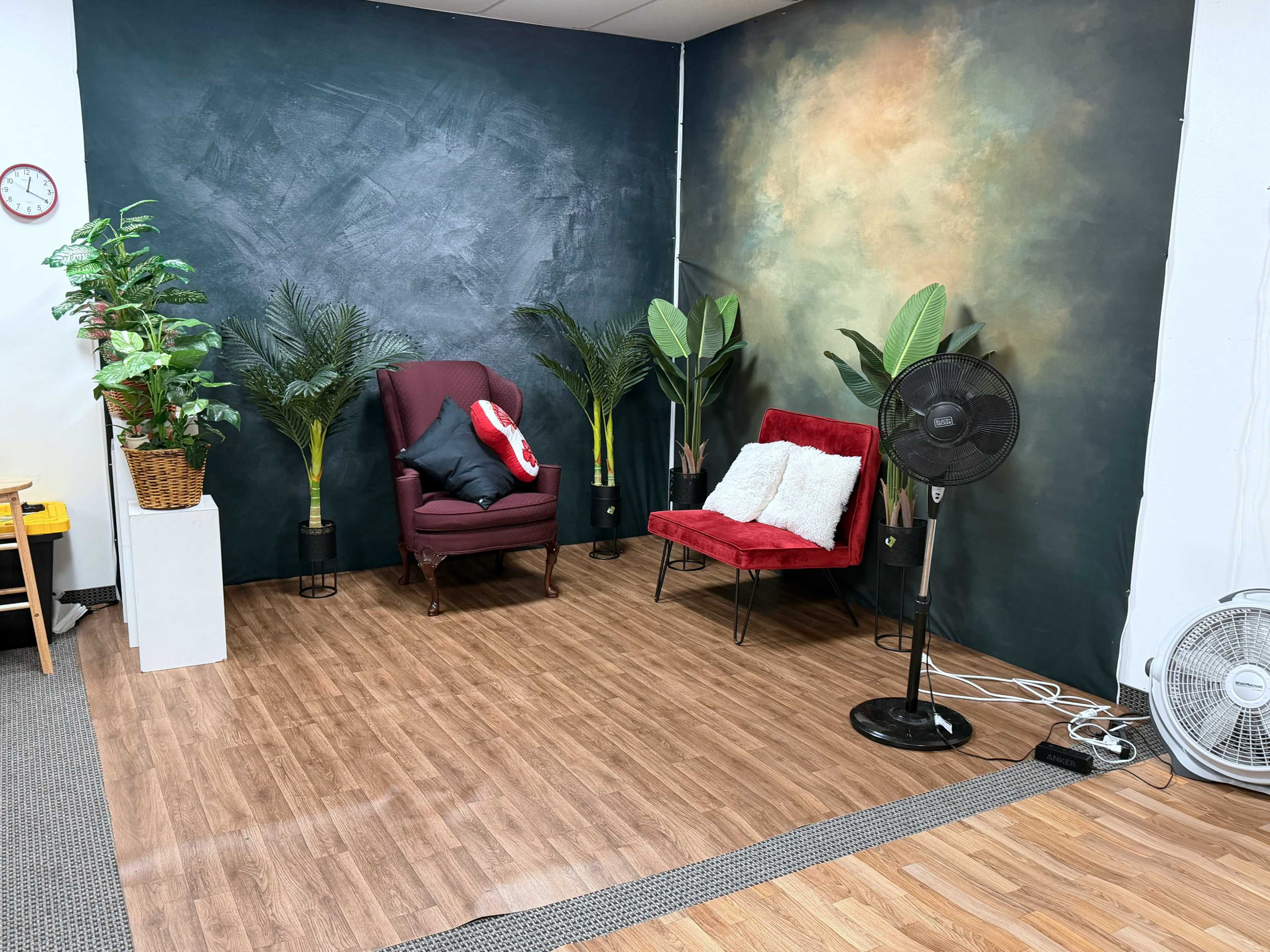 The image shows a small room with a wooden floor, featuring a green and brown painted wall, two chairs, potted plants, and a fan.