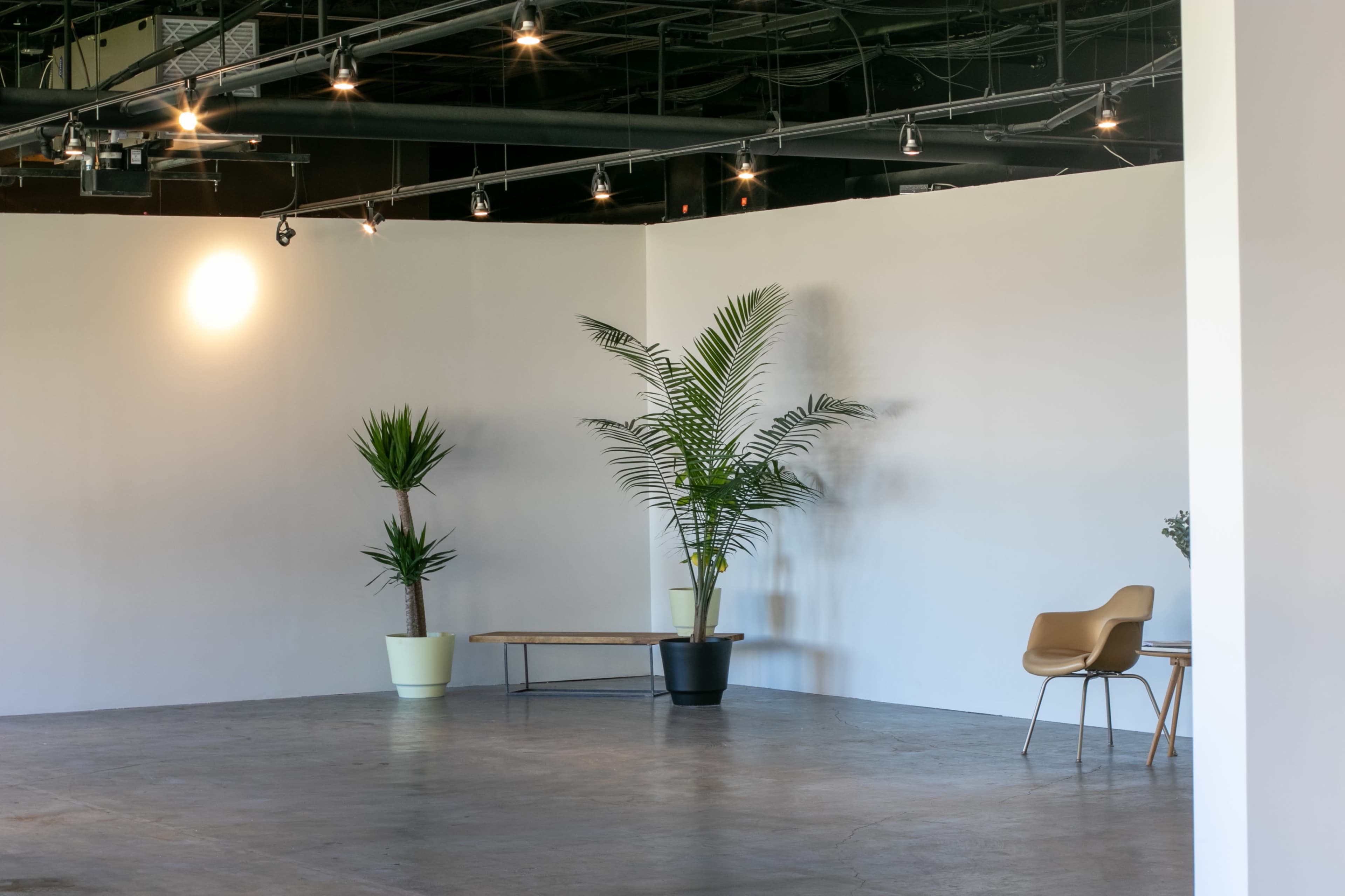 A minimalist interior with potted plants, a wooden bench, and a chair against a light-colored wall.