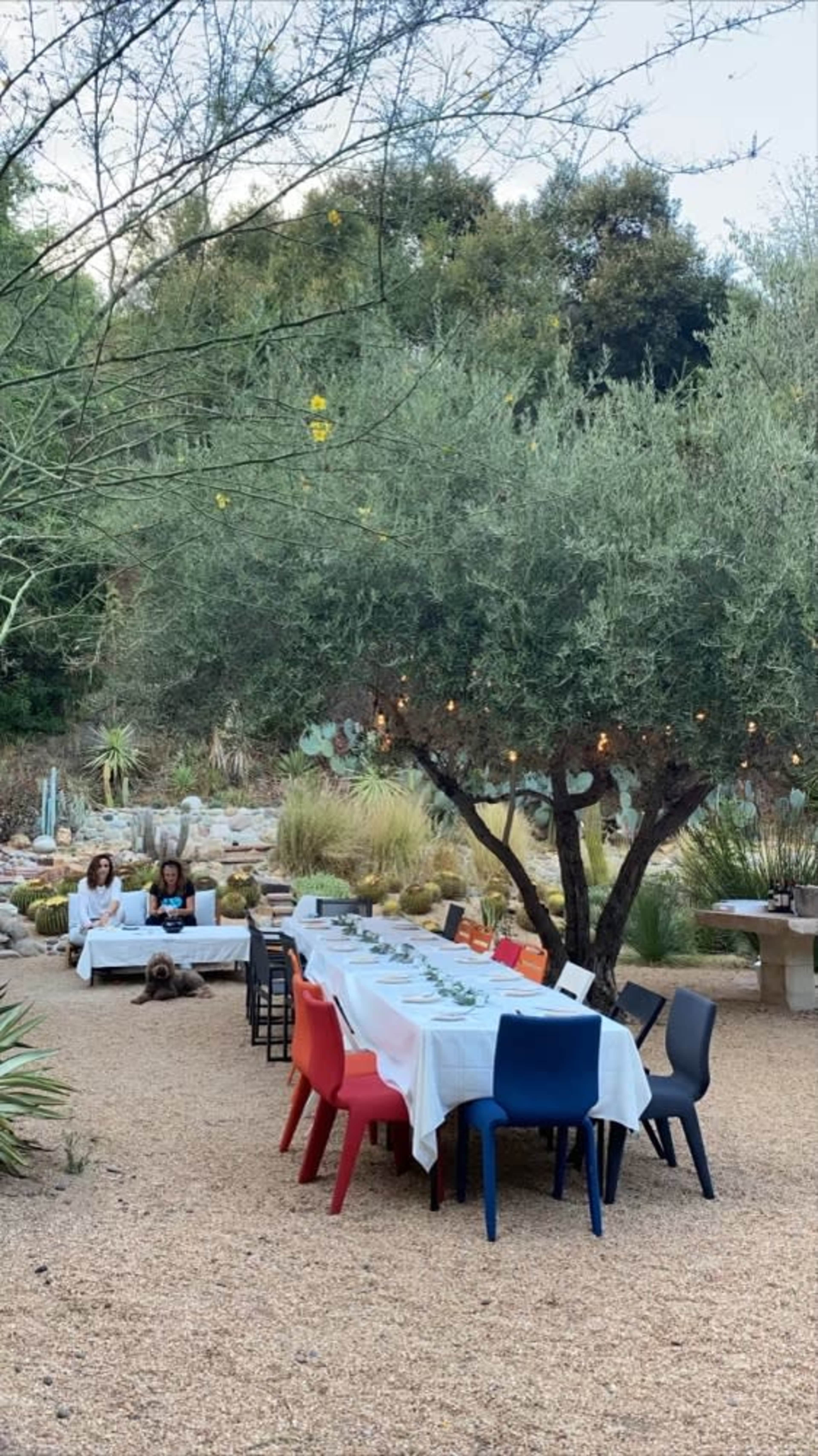 A long, neatly set dining table with white tablecloths is positioned under a large tree in a landscaped outdoor area.