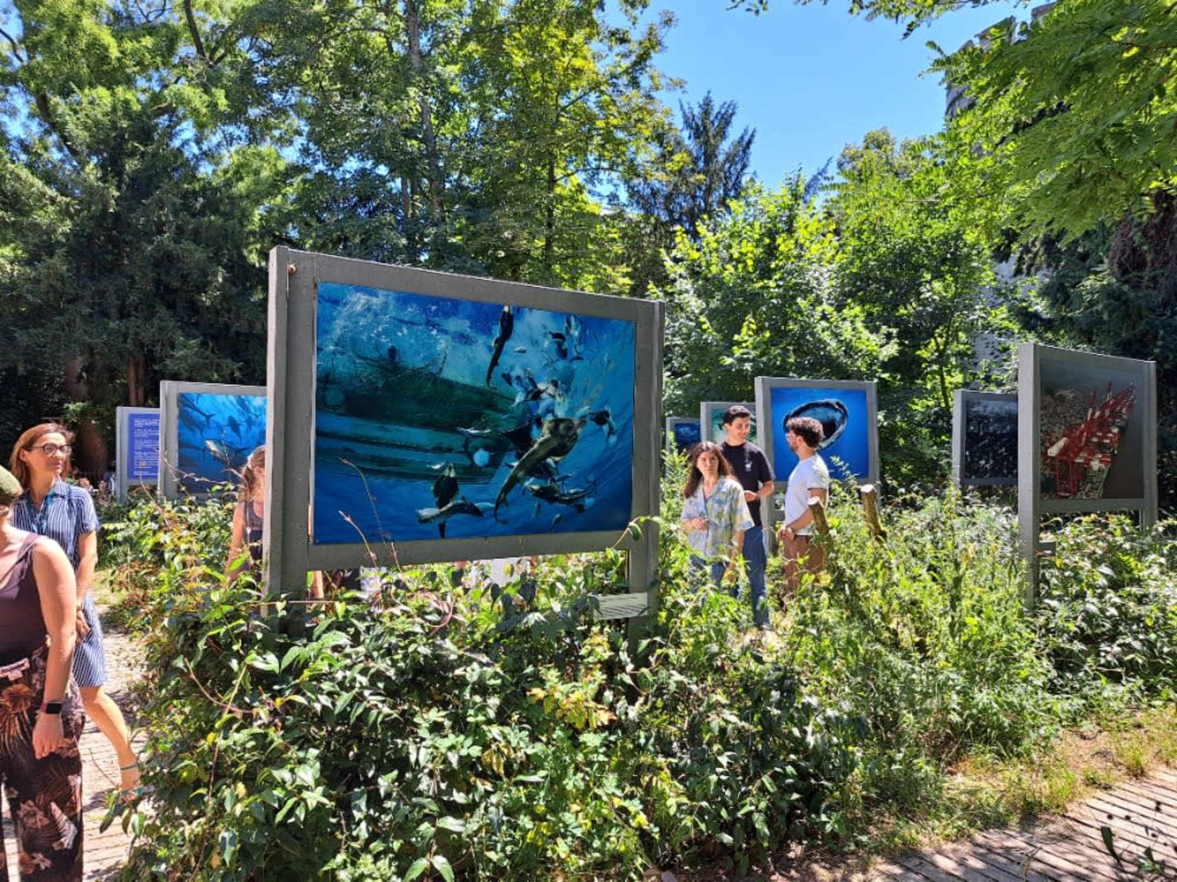 Visite Guidée de L'exposition Yann Arthus Bertrand