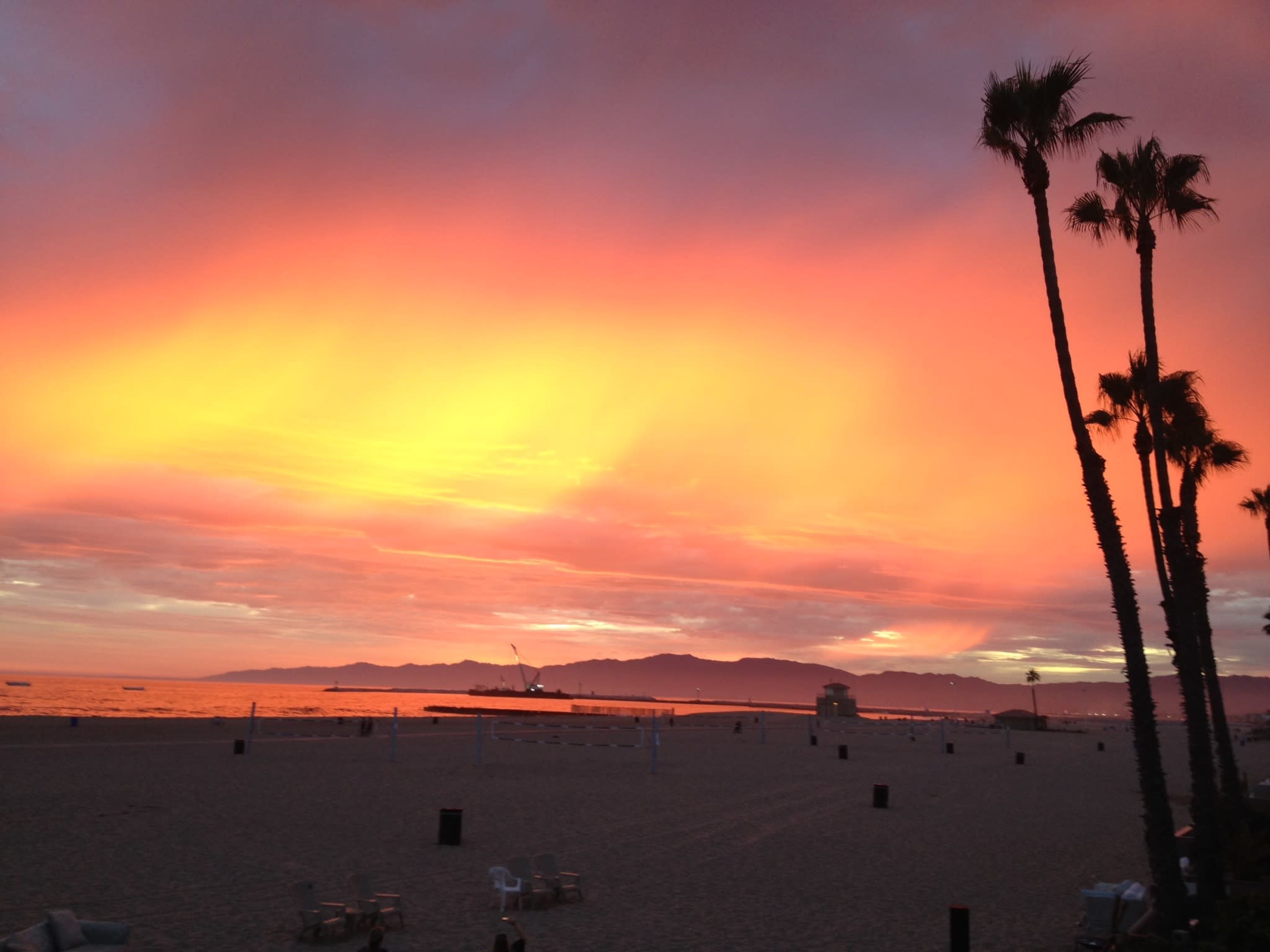A vibrant sunset casts orange and pink hues over a beach with silhouettes of palm trees in the foreground.