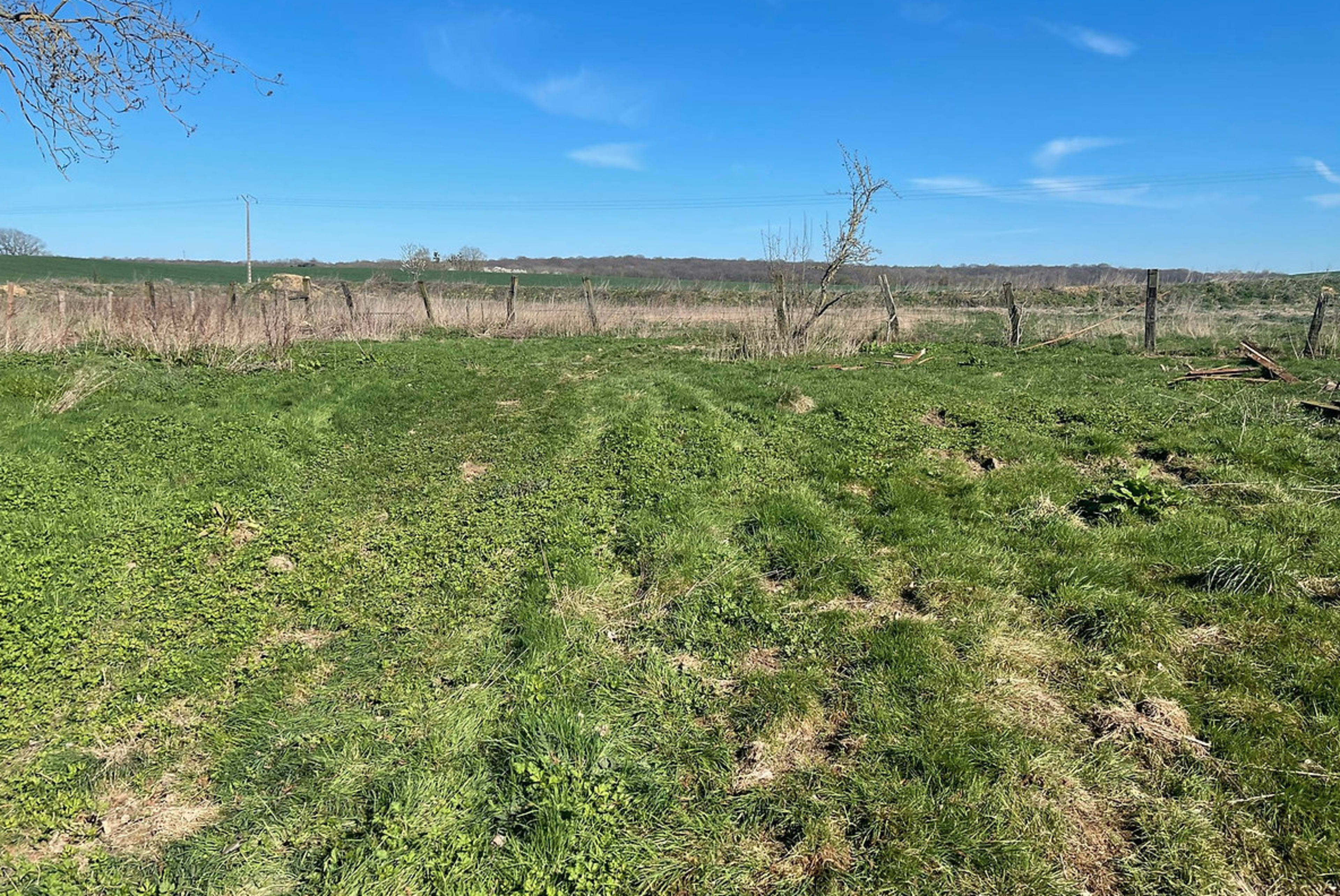 A grassy field extends into the distance, bordered by a fence with trees and a clear blue sky above.
