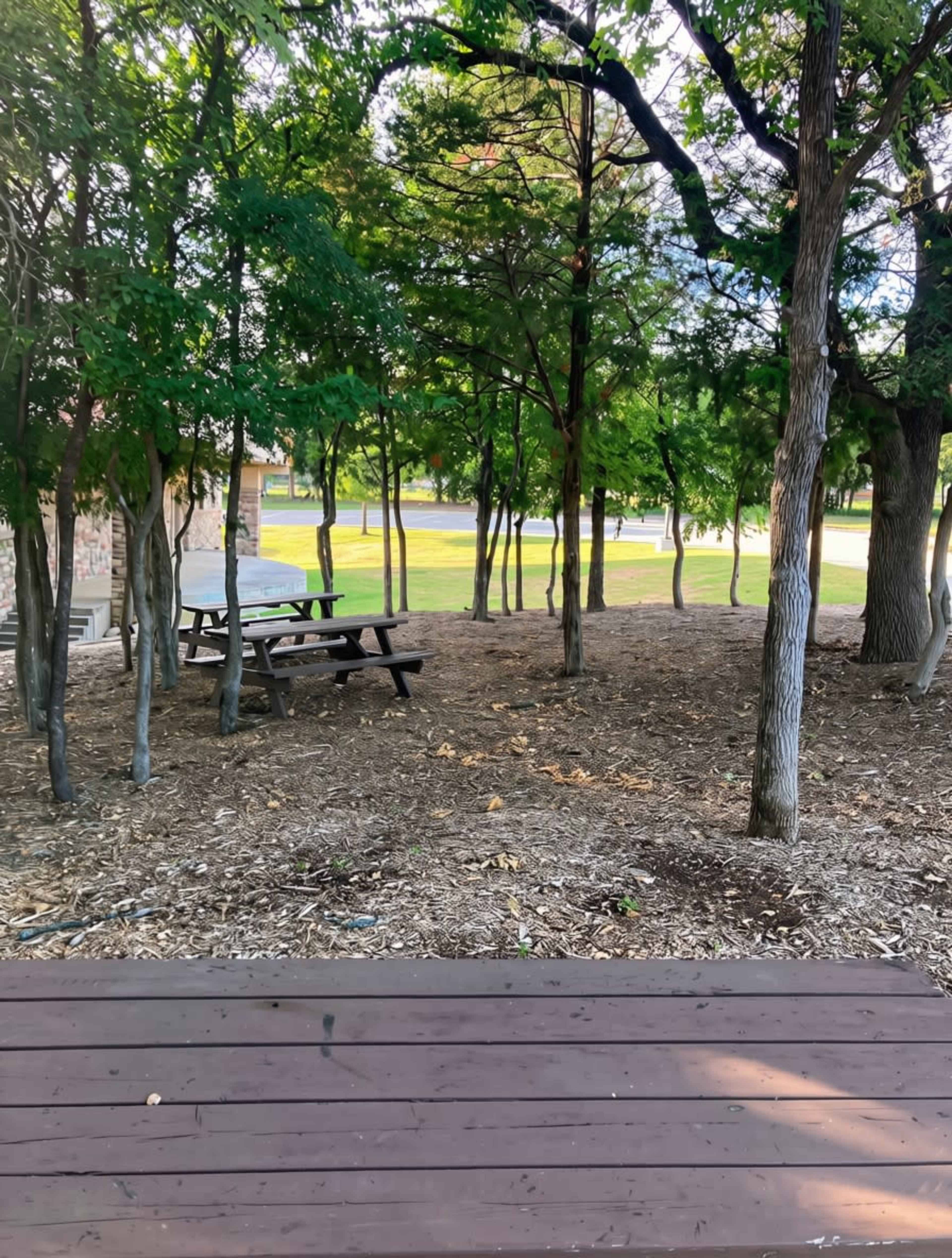 The image shows a wooded area with several trees and picnic tables partially visible through the foliage.
