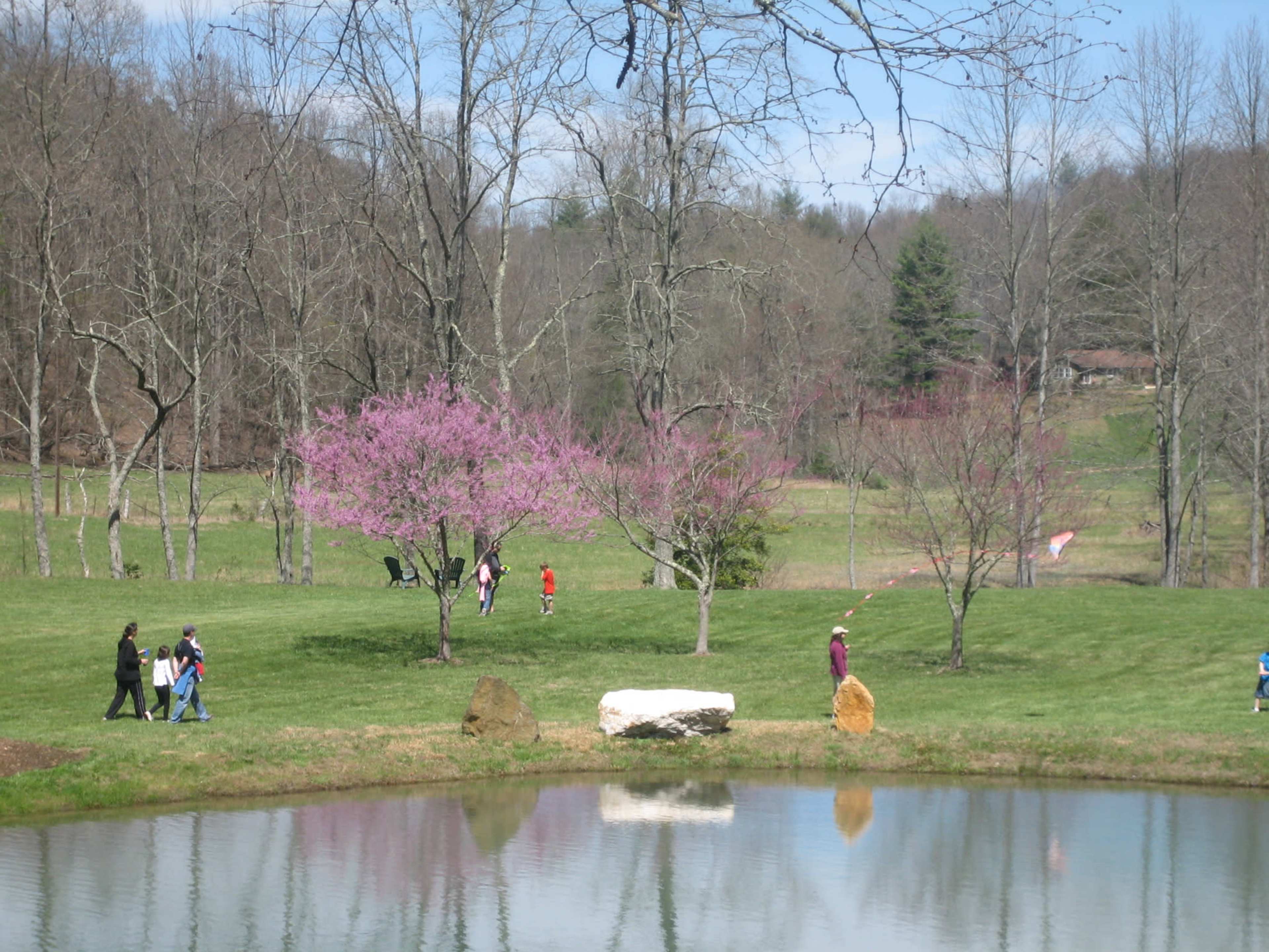 Creekside Pasture with Pond Surrounded by Mountains Image in , Cherry Log, GA